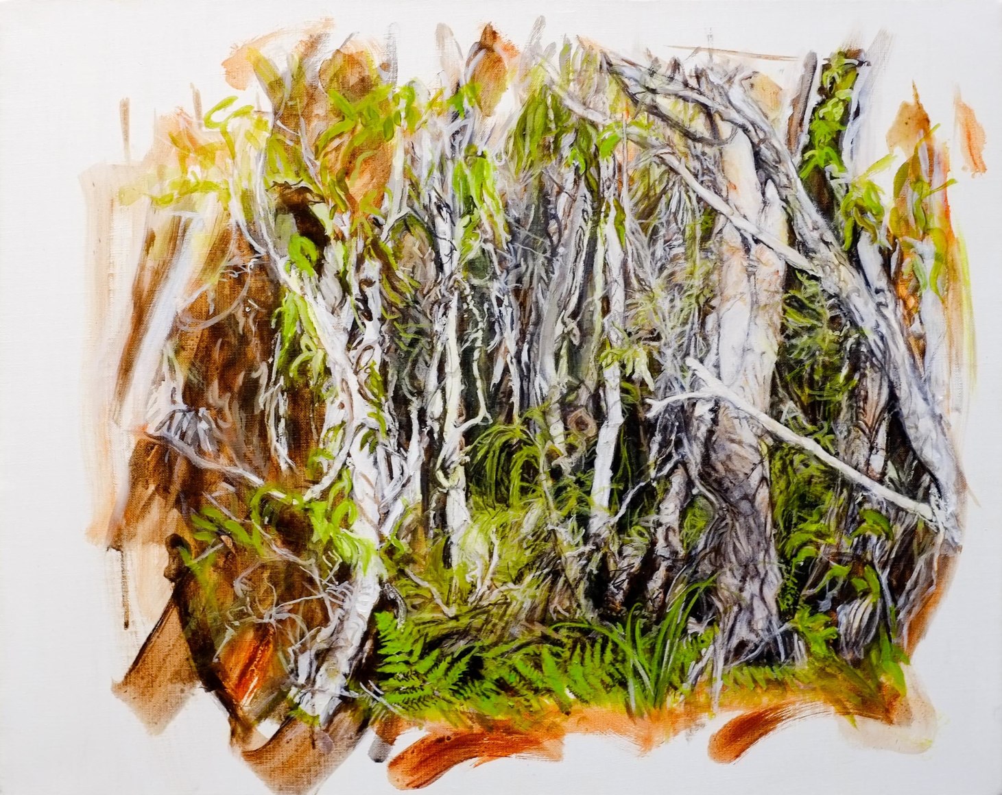 Christine James Bundjalung Heathland 2016