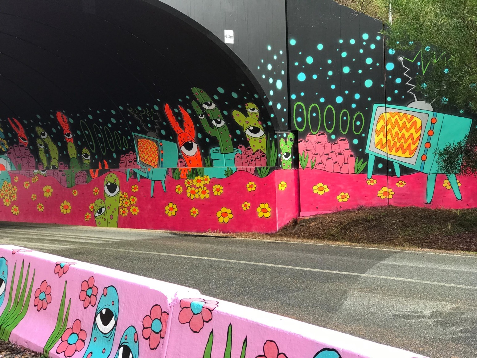 Lee McConnell Hypnagogic Tableau Splendour in the Grass Tunnel Project