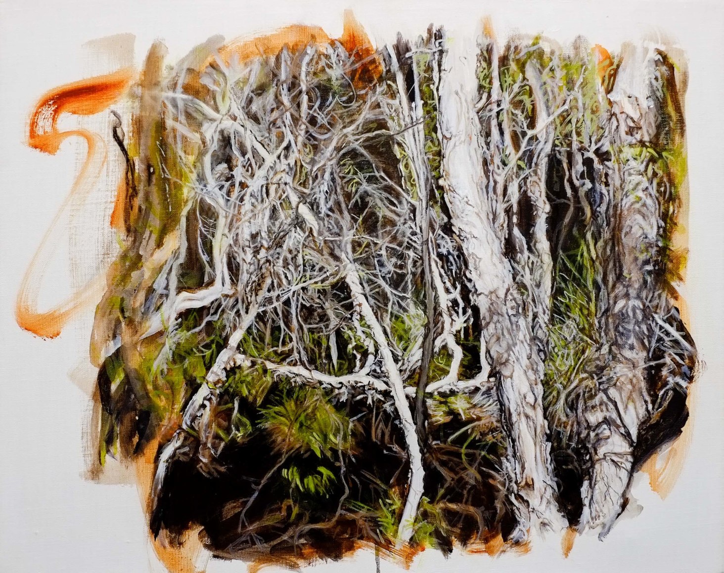 Christine James Bundjalung Heathland 2016