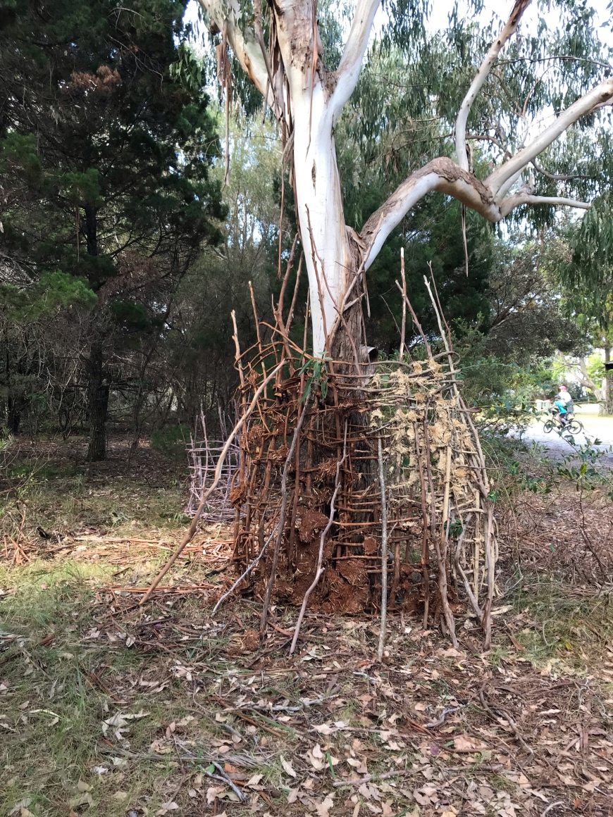 Mending &amp; Tending