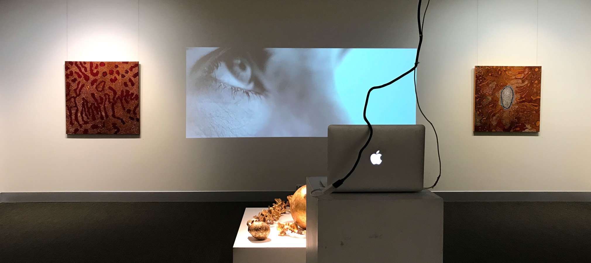 Jeremy Hawkes Carapace