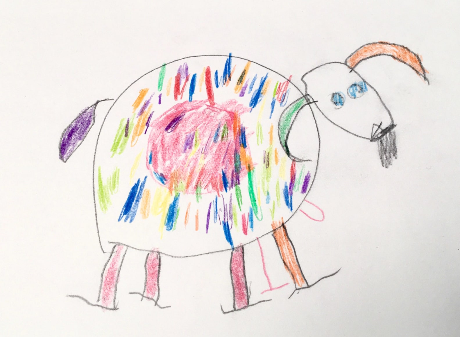 Theo MacPherson Goat Pencil on paper 43.5 cm x 40cm 2018