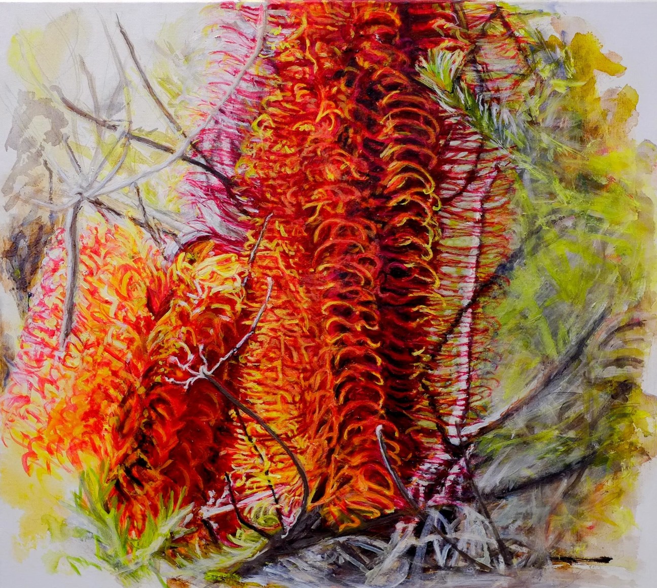 Christine James Bundjalung Heathland 2016