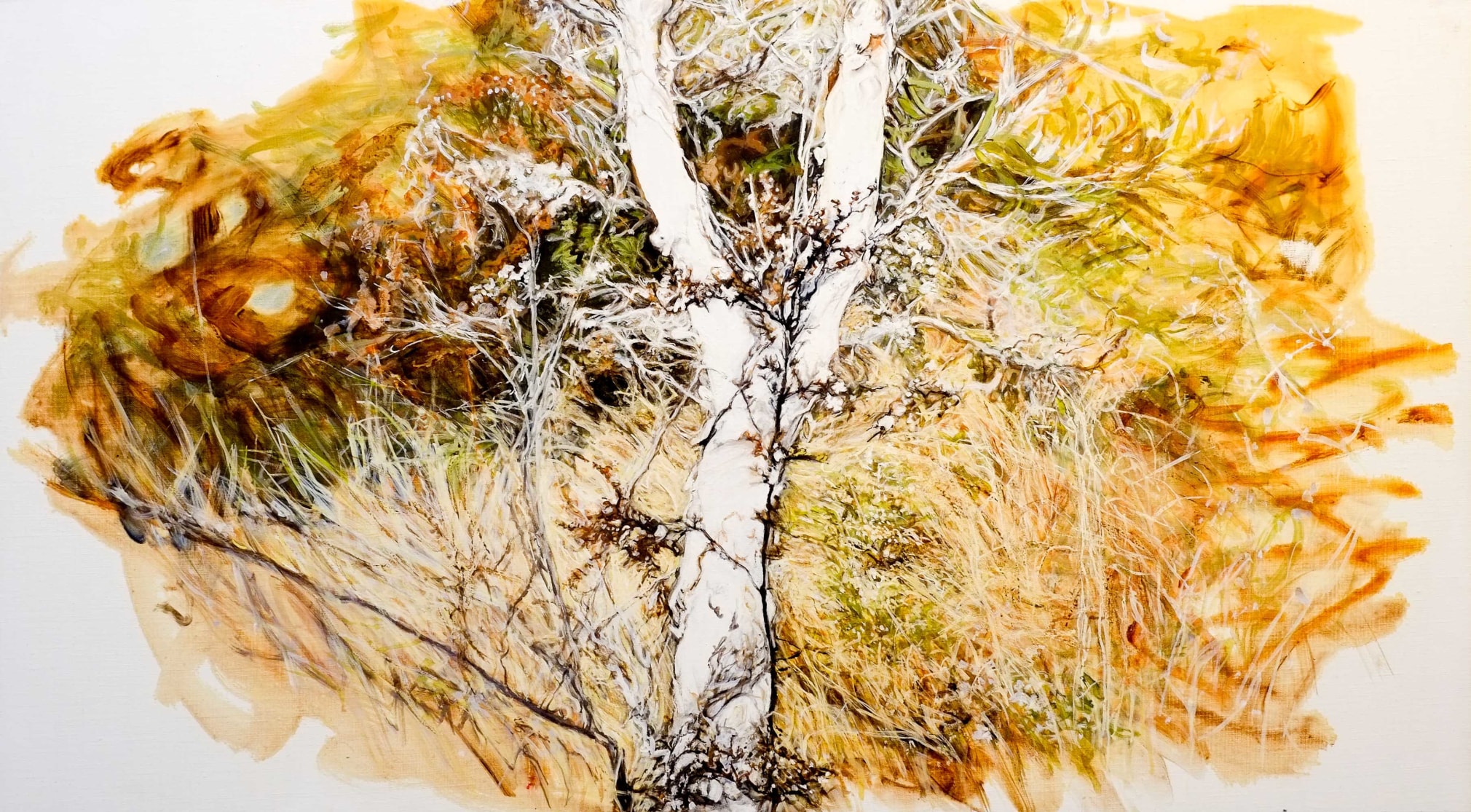 Christine James Bundjalung Heathland 2016