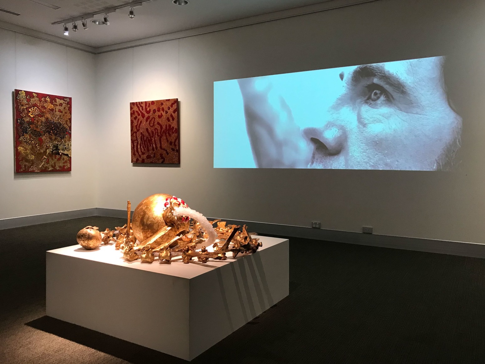 Jeremy Hawkes Carapace