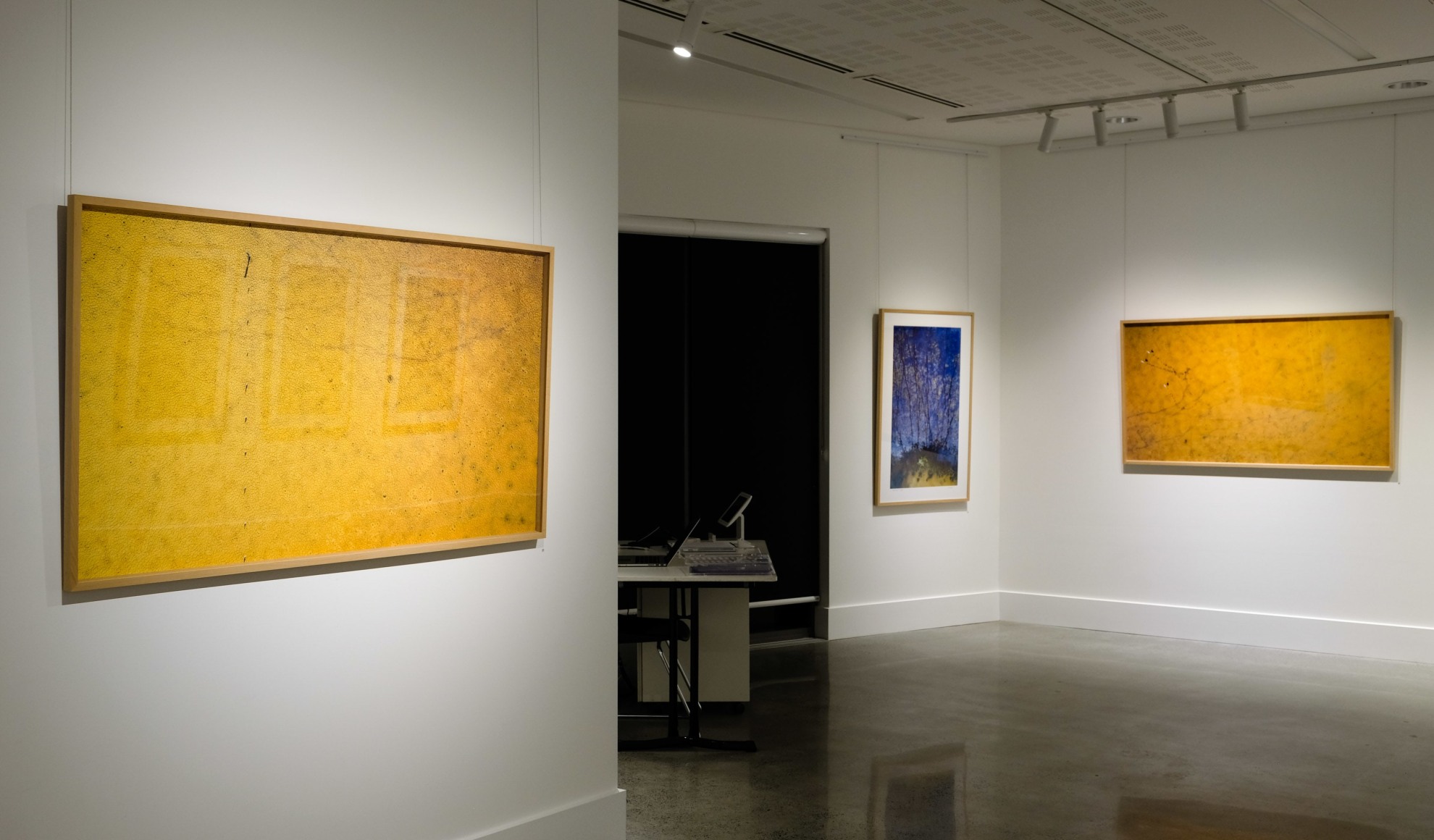 Stu Murphy Pause exhibition ​Installation View at Lone Goat Gallery Byron Bay 2019