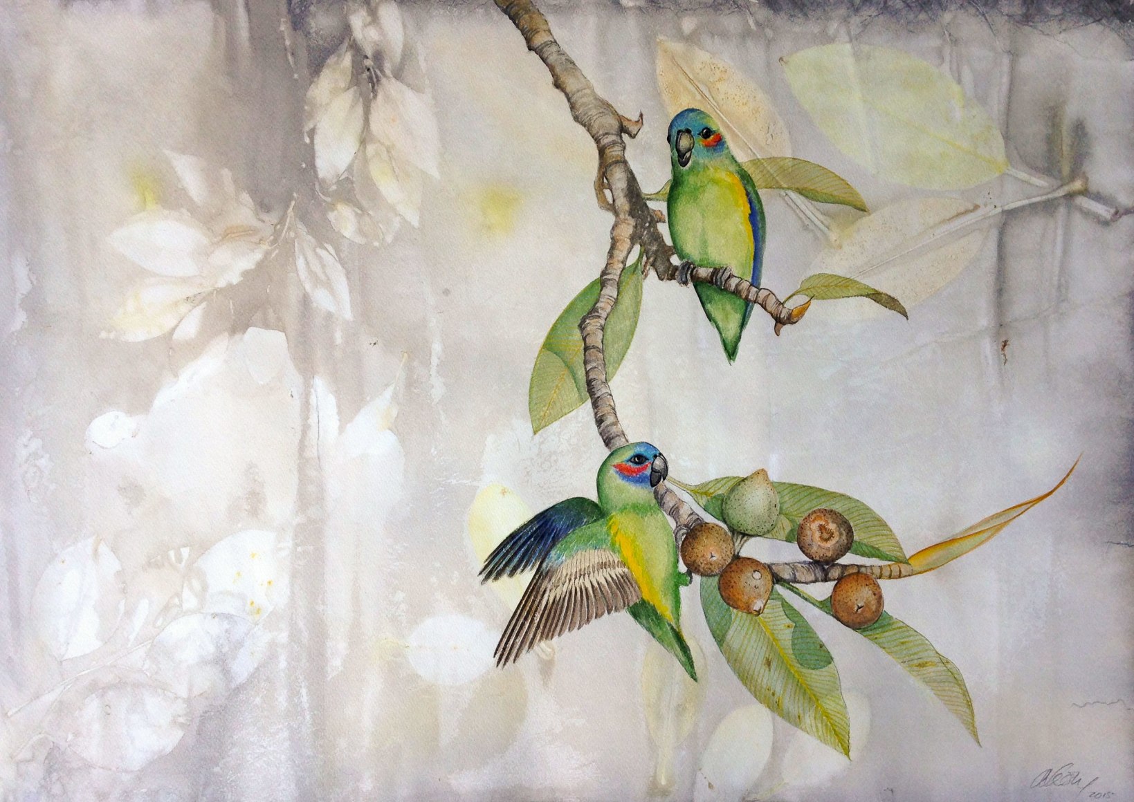Anne Leon Coxen’s Fig-Parrot Watercolour on Plant-dyed paper 2016