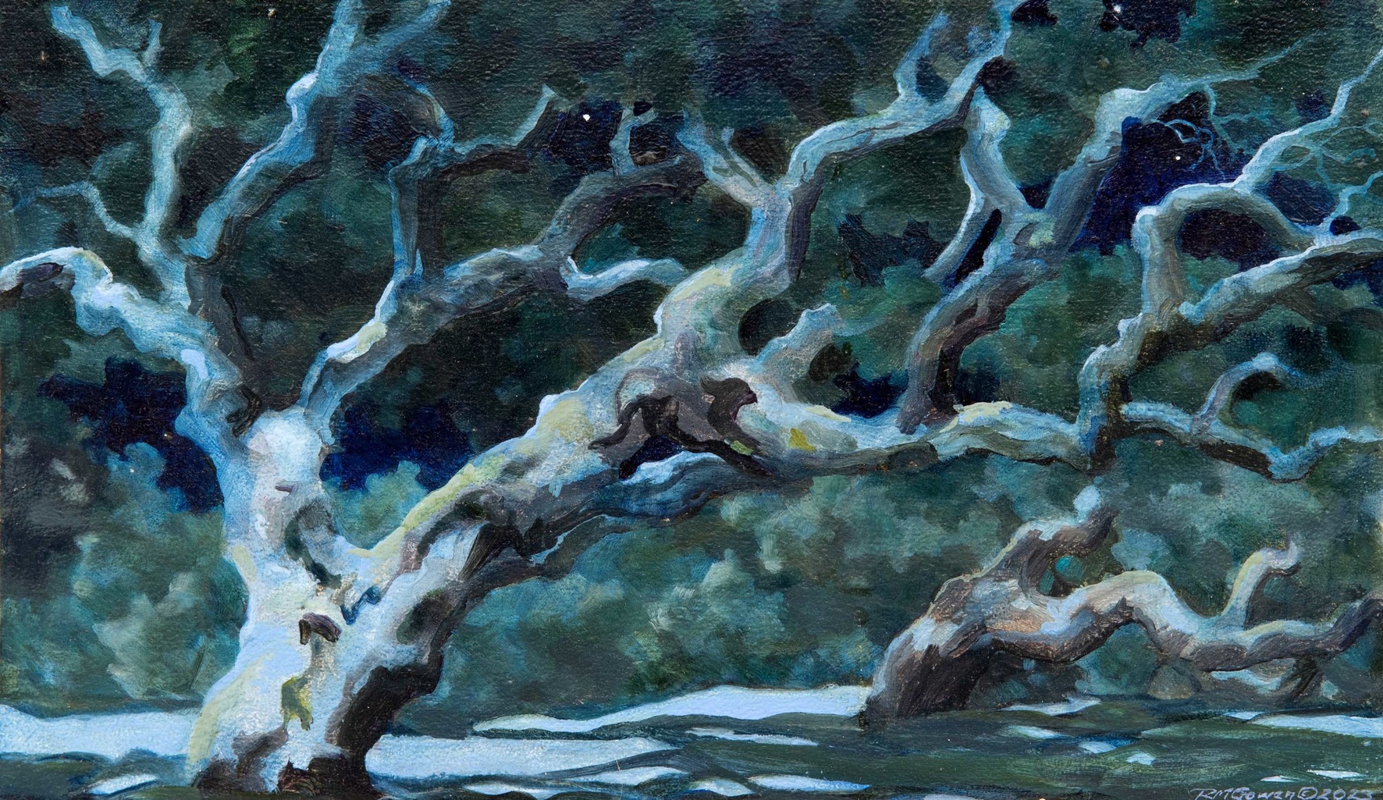 ROBIN GOWEN , Moonlight in the Oaks, 2022