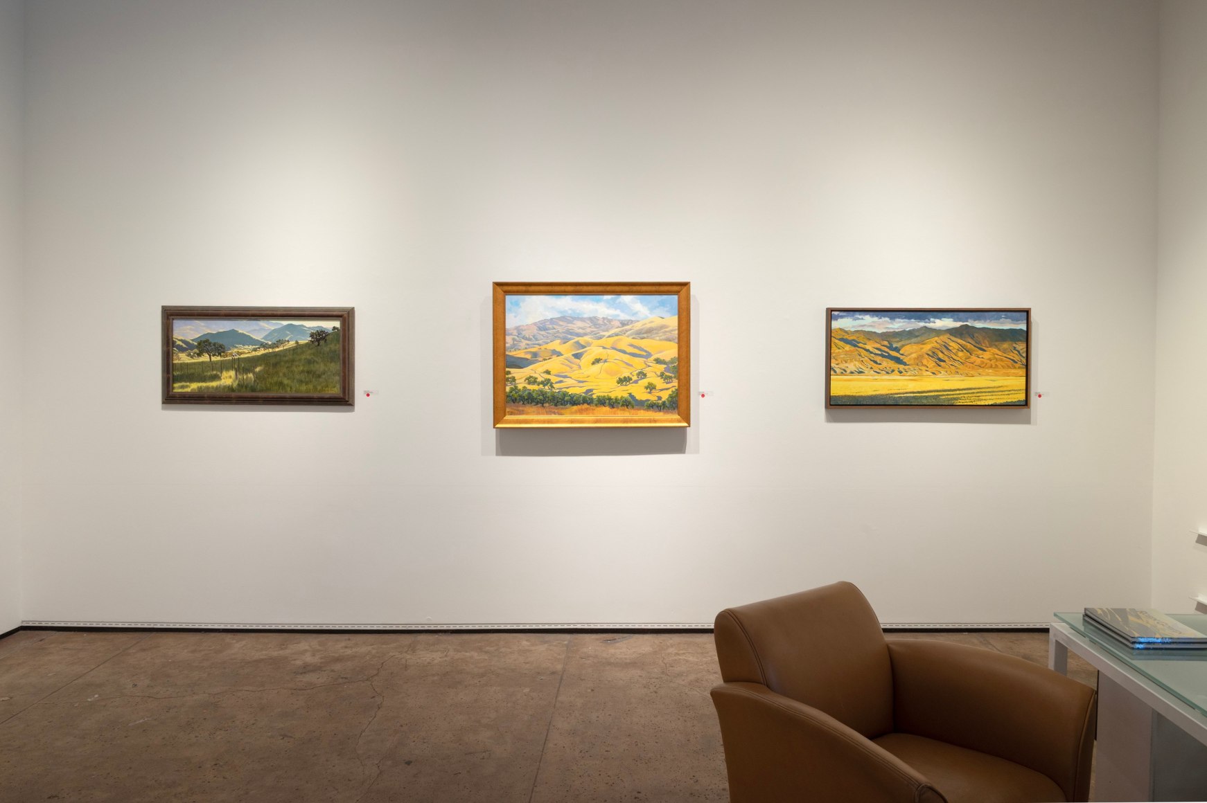 ROBIN GOWEN: A Wild Hush 2025 installation photo