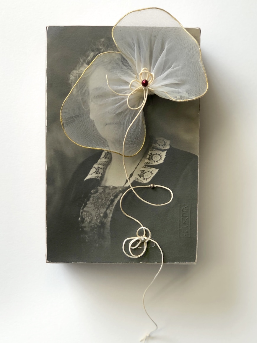 SUSAN TIBBLES , Conceal, 2023