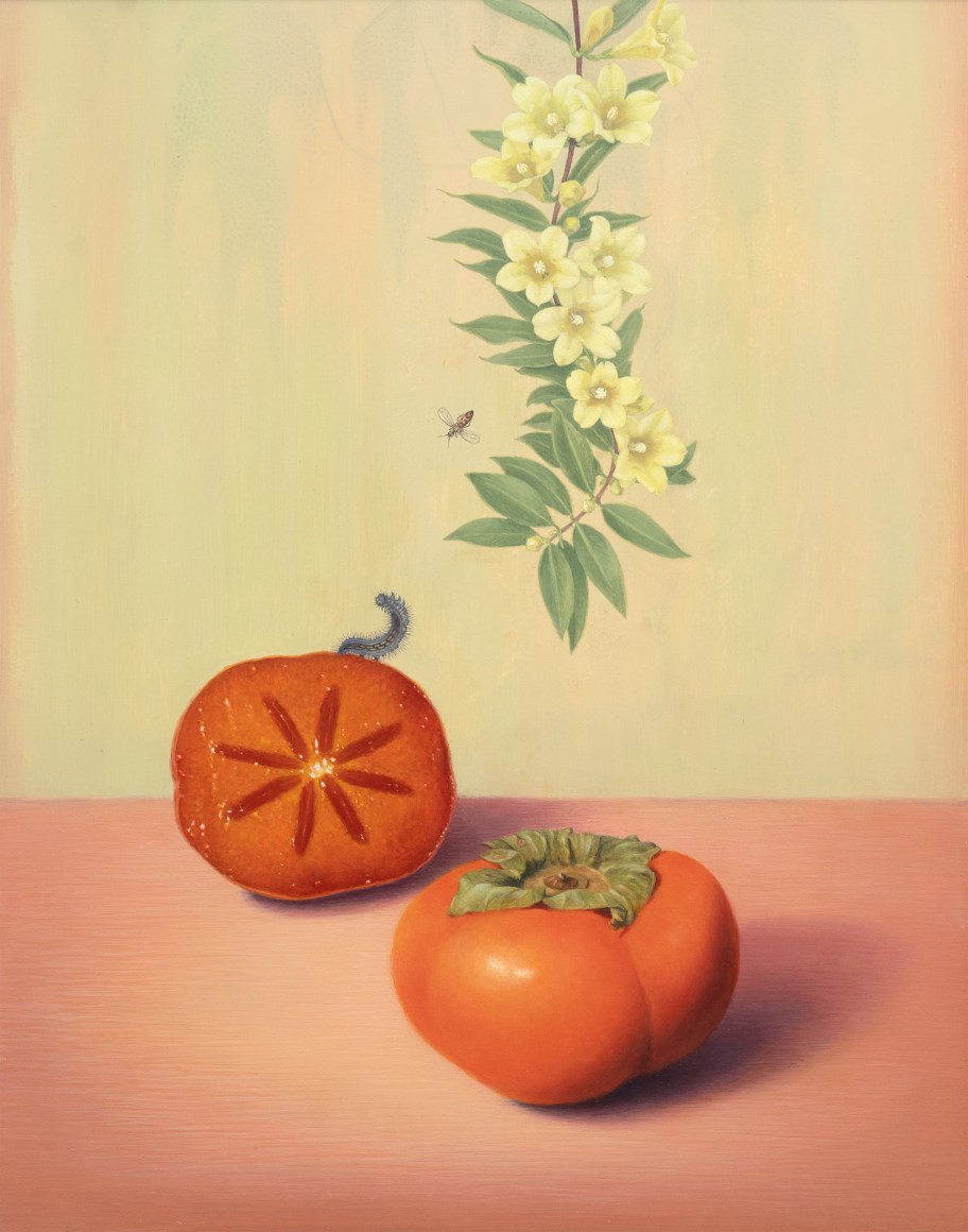 SUSAN MCDONNELL , Persimmons, 2023