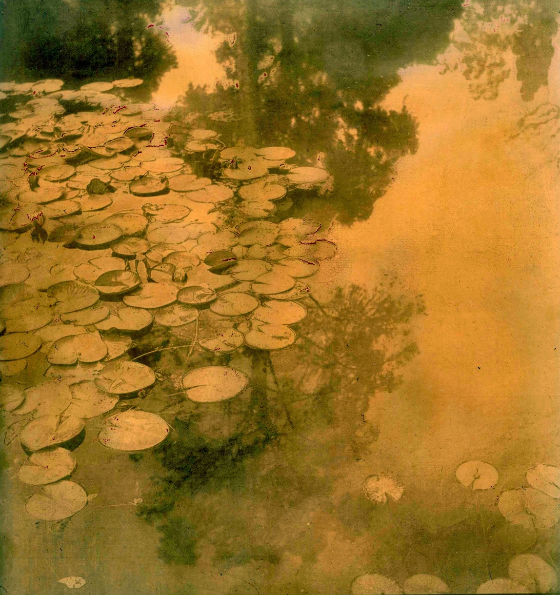MONICA WIESBLOTT , In Water's Sound, 2023