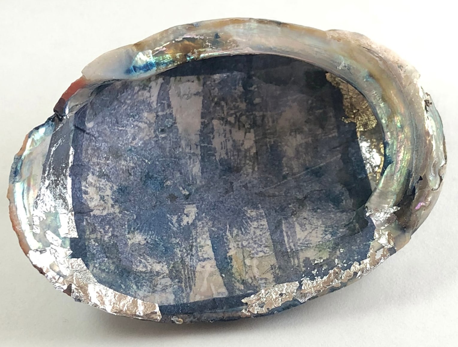 MONICA WIESBLOTT , Dreams of the Abalone, 2025