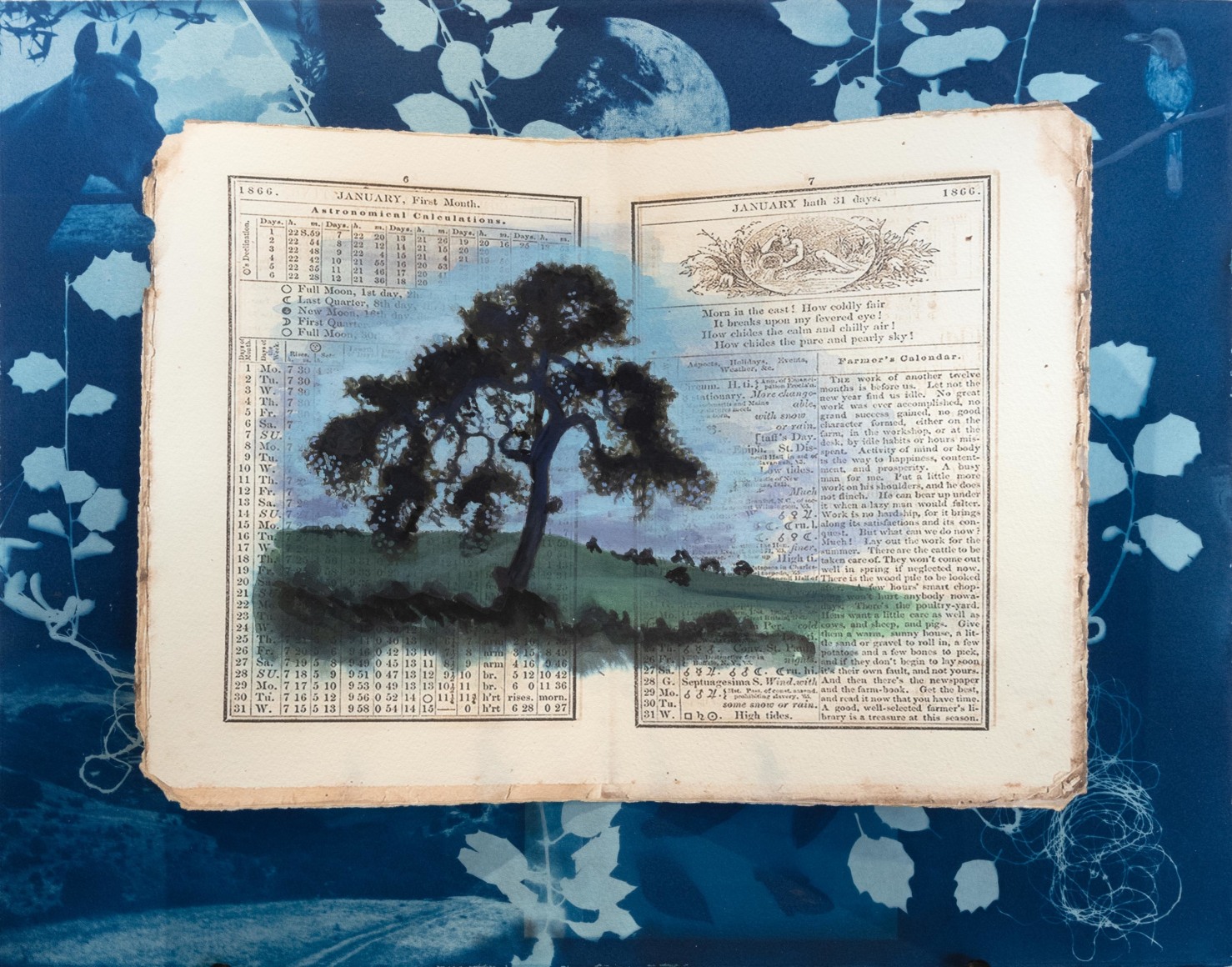 HOLLI HARMON , January Hath 31 Days, 2023