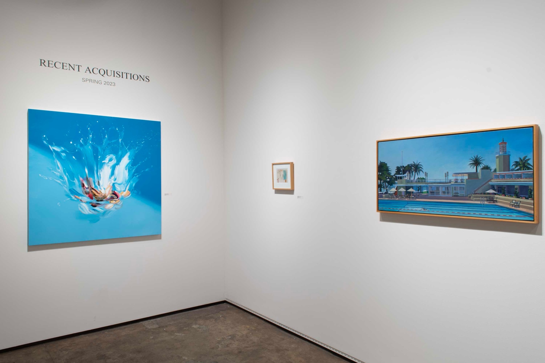 Recent Acquisitions 2023 installation shot