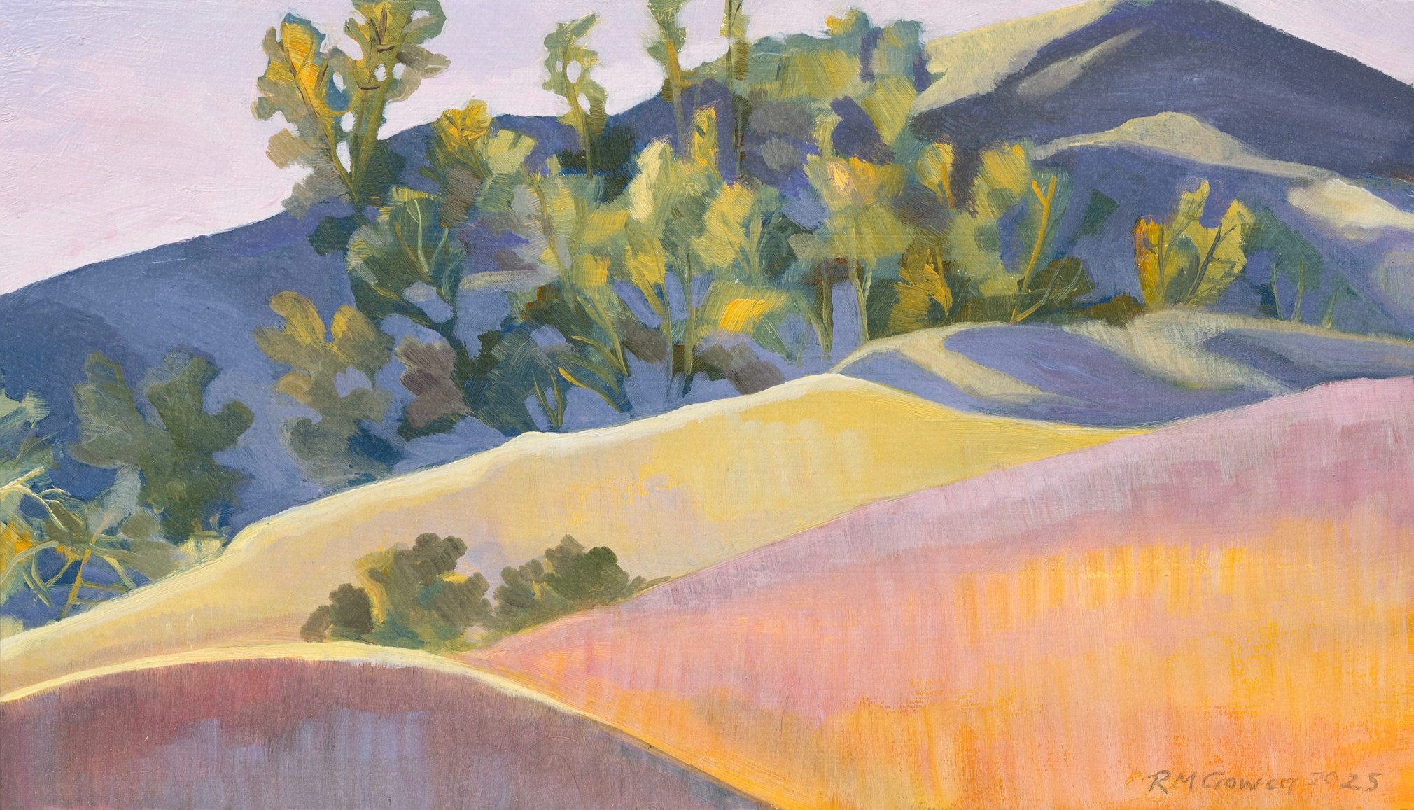 ROBIN GOWEN , High in the Hills, 2025