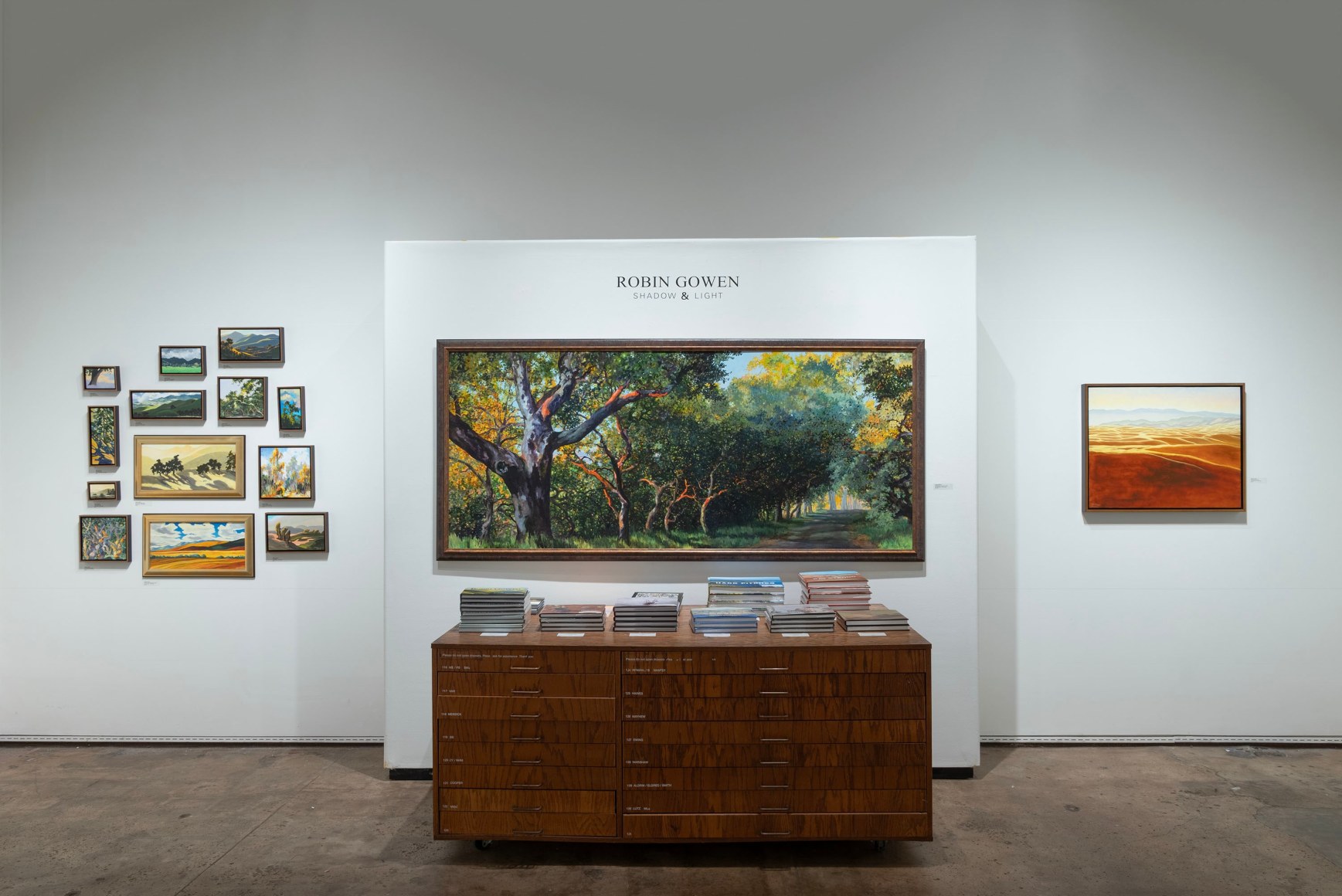 Robin Gowen: Shadow &amp; Light book release install shot