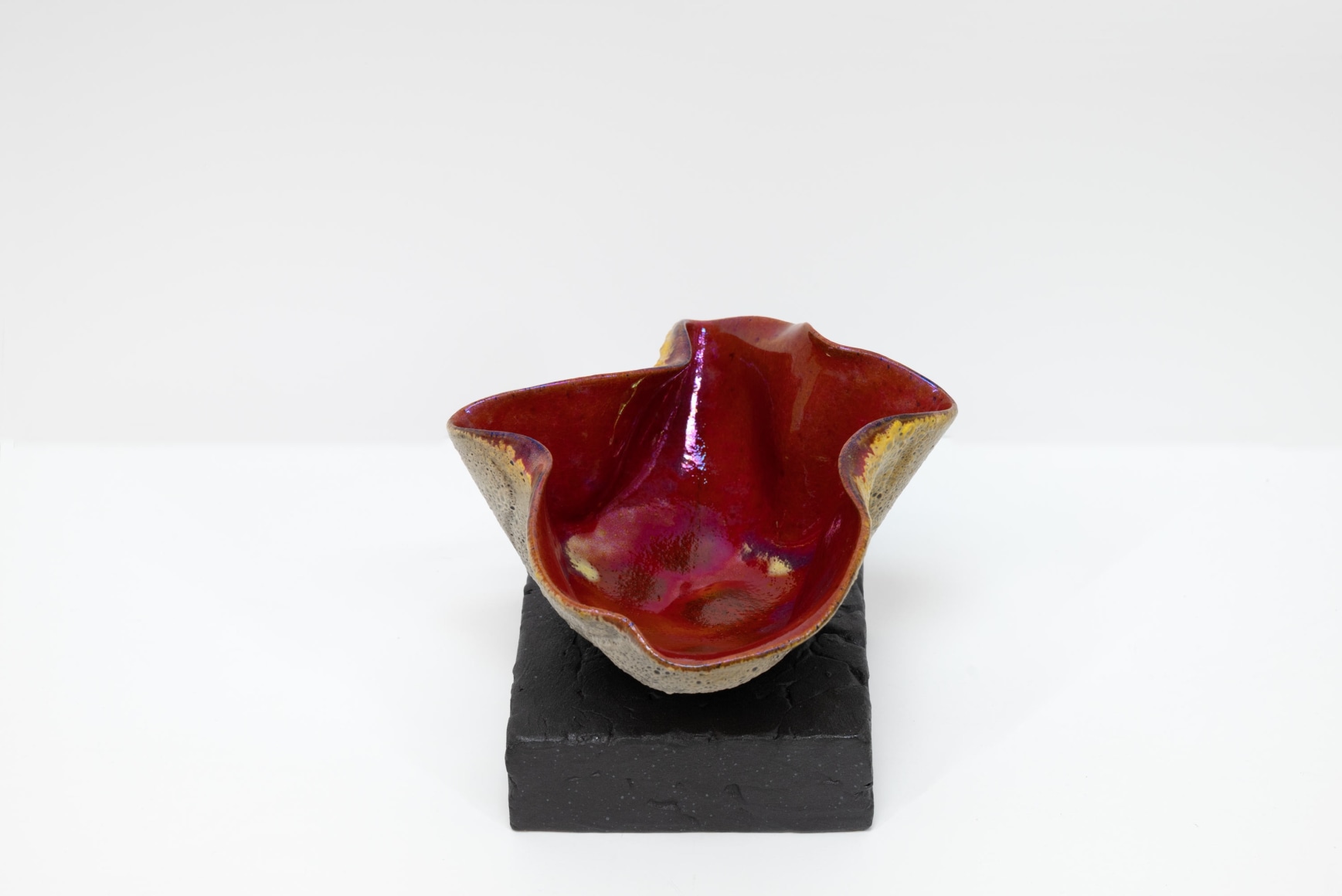 JAMES HAGGERTY, Flor Rubra #10, 2025