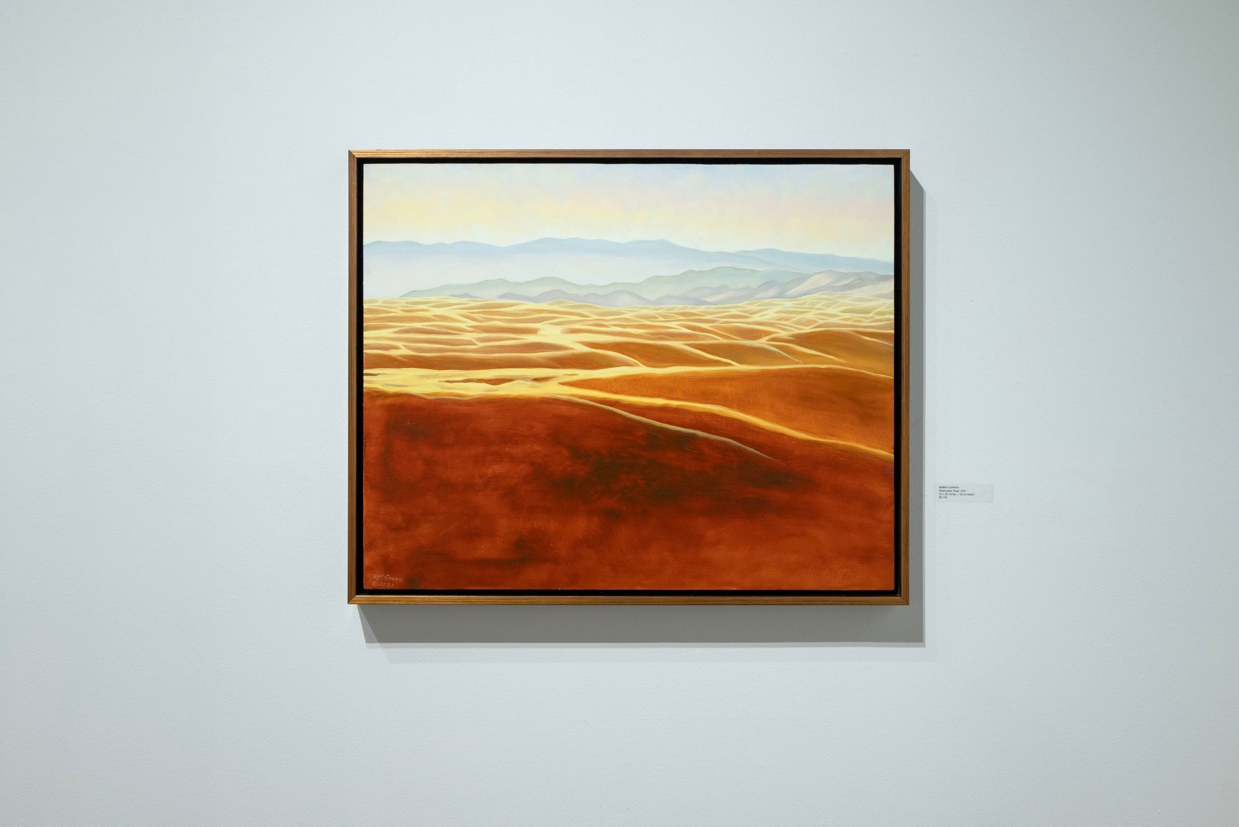 Robin Gowen: Shadow &amp; Light book release install shot