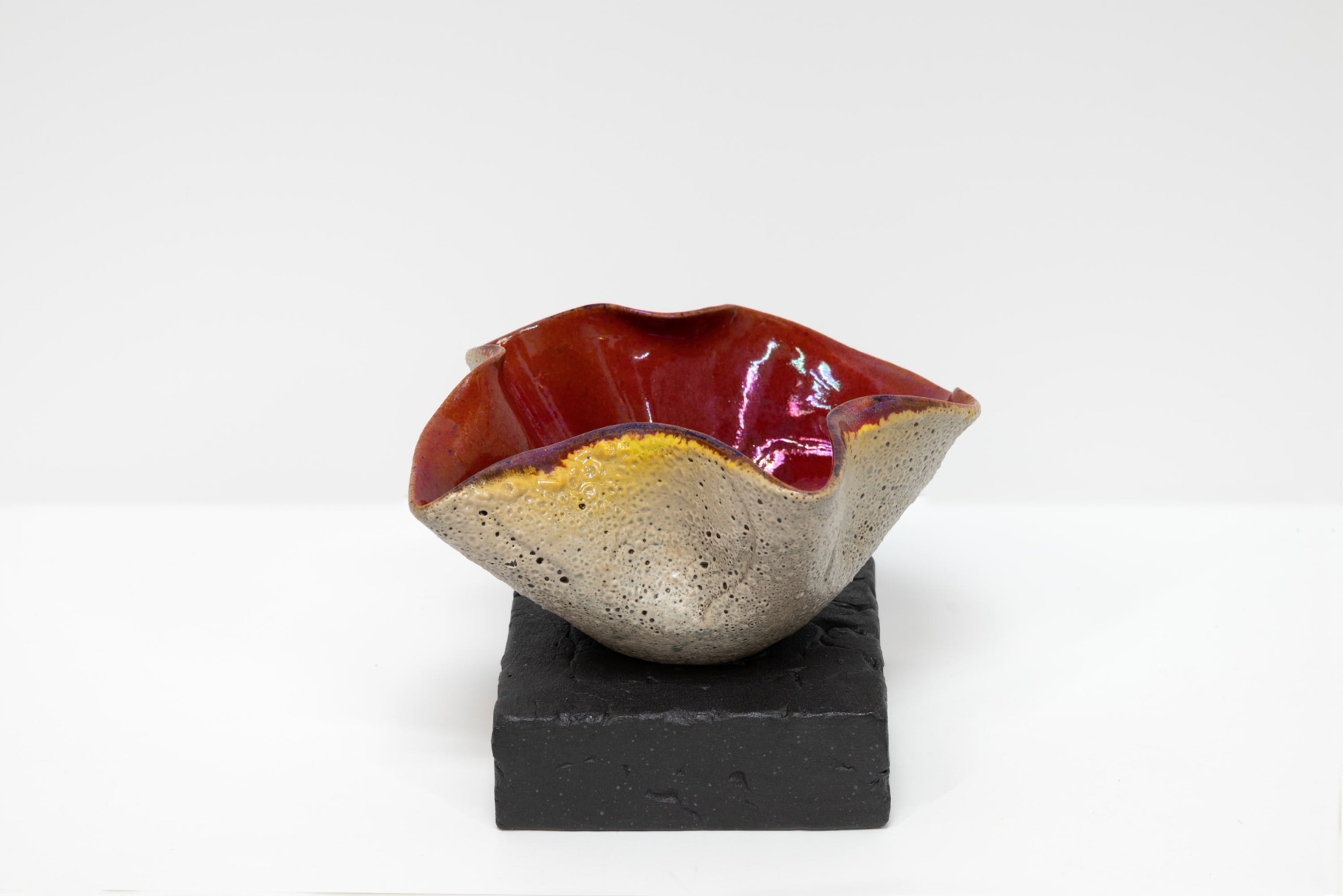 JAMES HAGGERTY, Flor Rubra #10, 2025