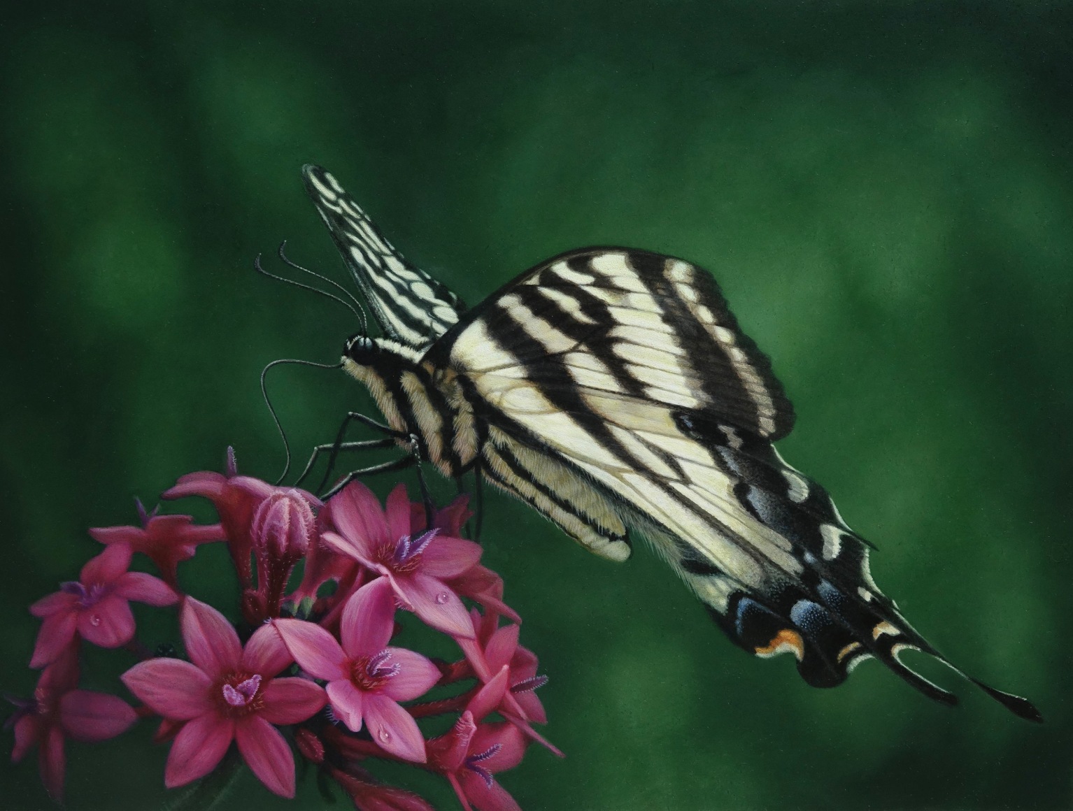 SUSAN MCDONNELL , Advice from a Caterpillar, 2024