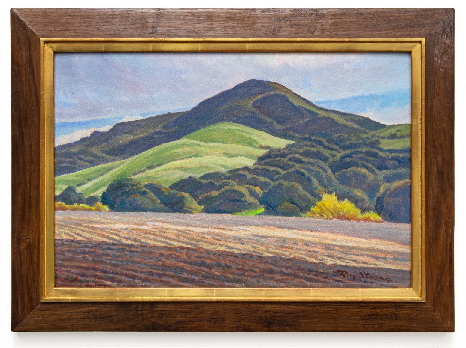 Ray Strong (1905-2006), Bob Isaacson's Bean Patch, 1995