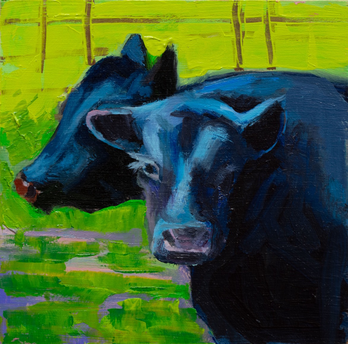 HOLLI HARMON , Apunte - Black Cows, 2024