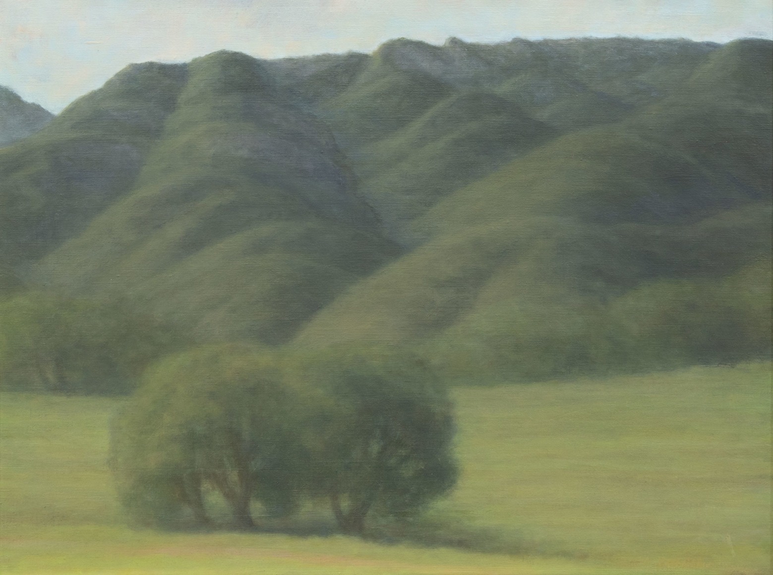 SARAH VEDDER , Folded Hills, 2016