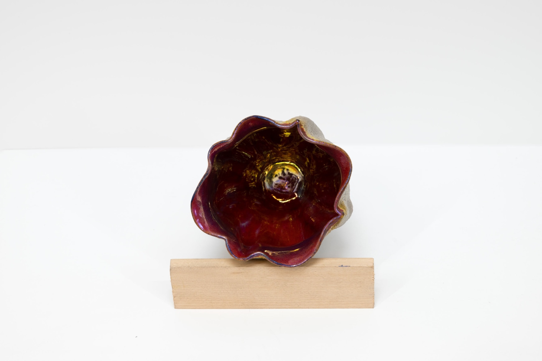 JAMES HAGGERTY, Flor Ruba #7, 2025