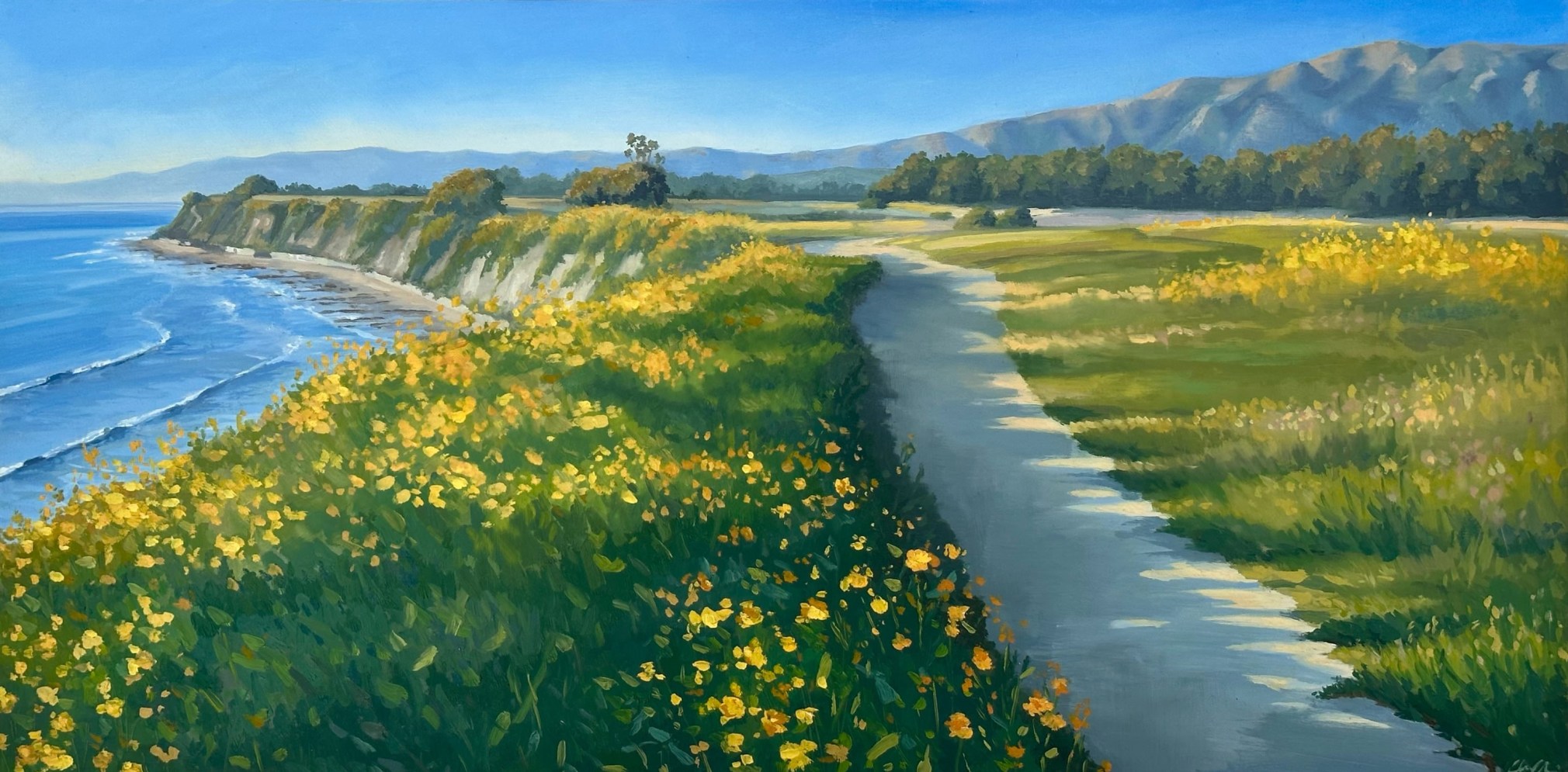AMBER O'NEILL , Santa Barbara Superbloom, 2023