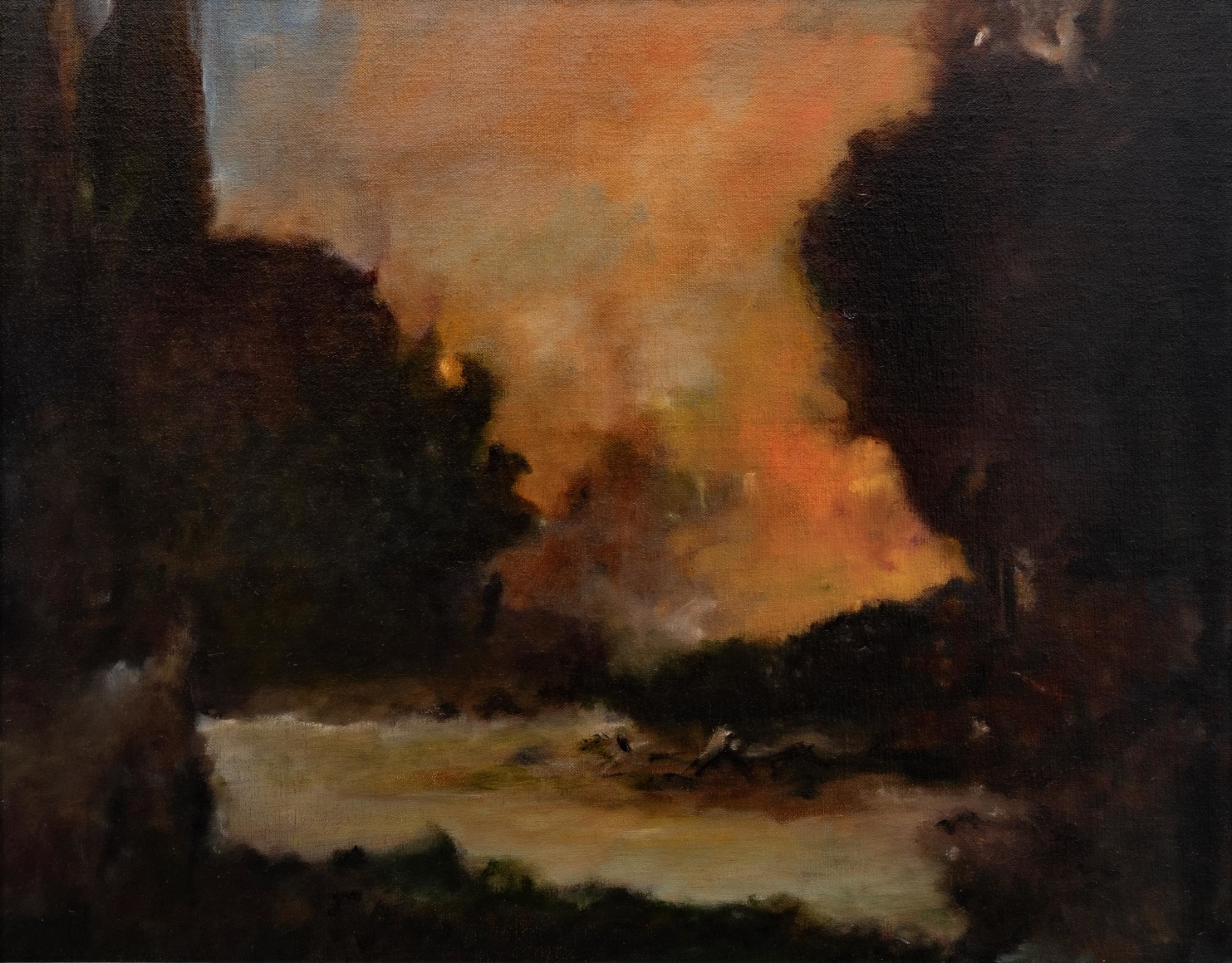 CHRIS PETERS , Symbiosis No. 6, 2018-2019