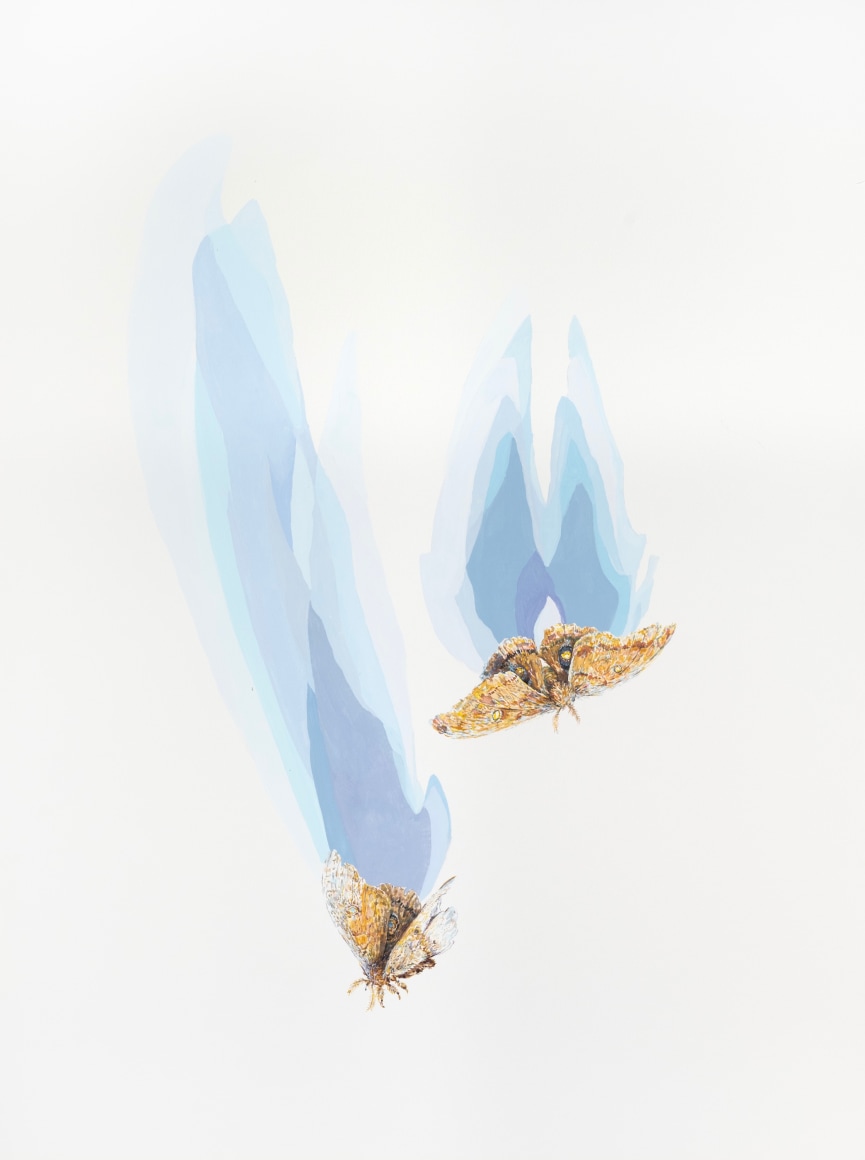 NATHAN HUFF , Travelers, 2025