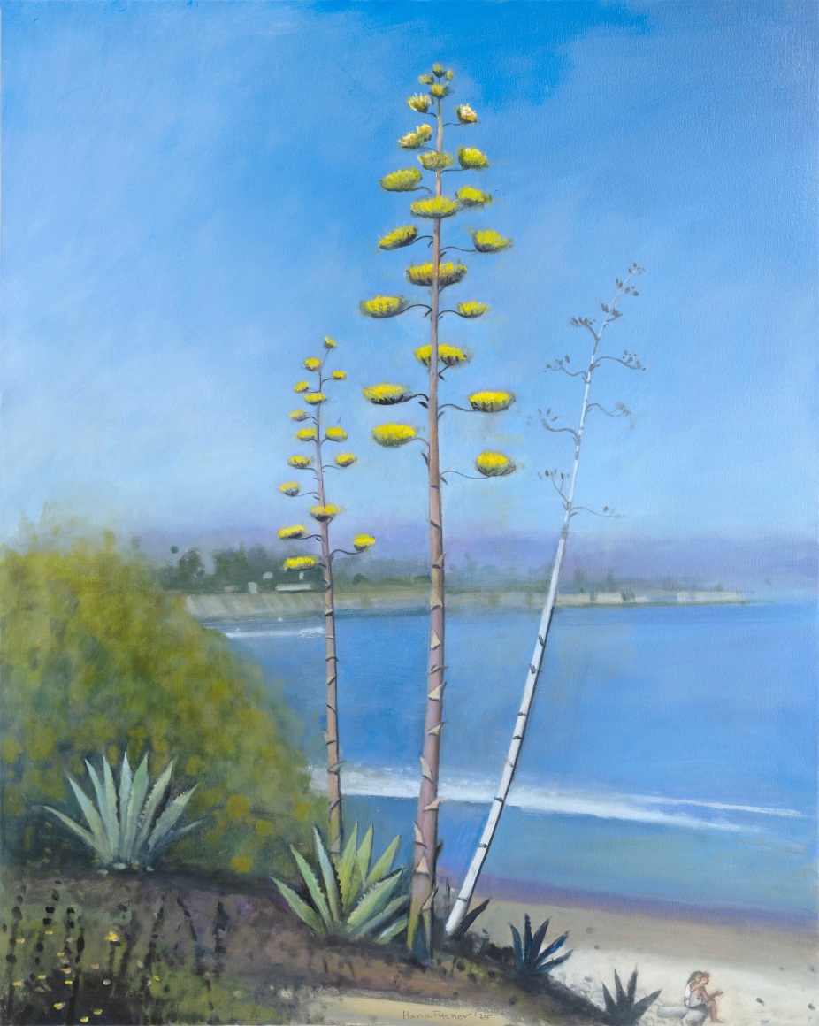 HANK PITCHER , Blooming Magueys, 2025