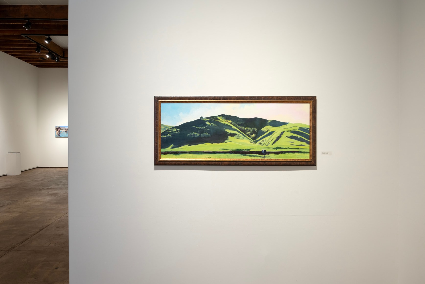 ROBIN GOWEN: A Wild Hush 2025 installation photo