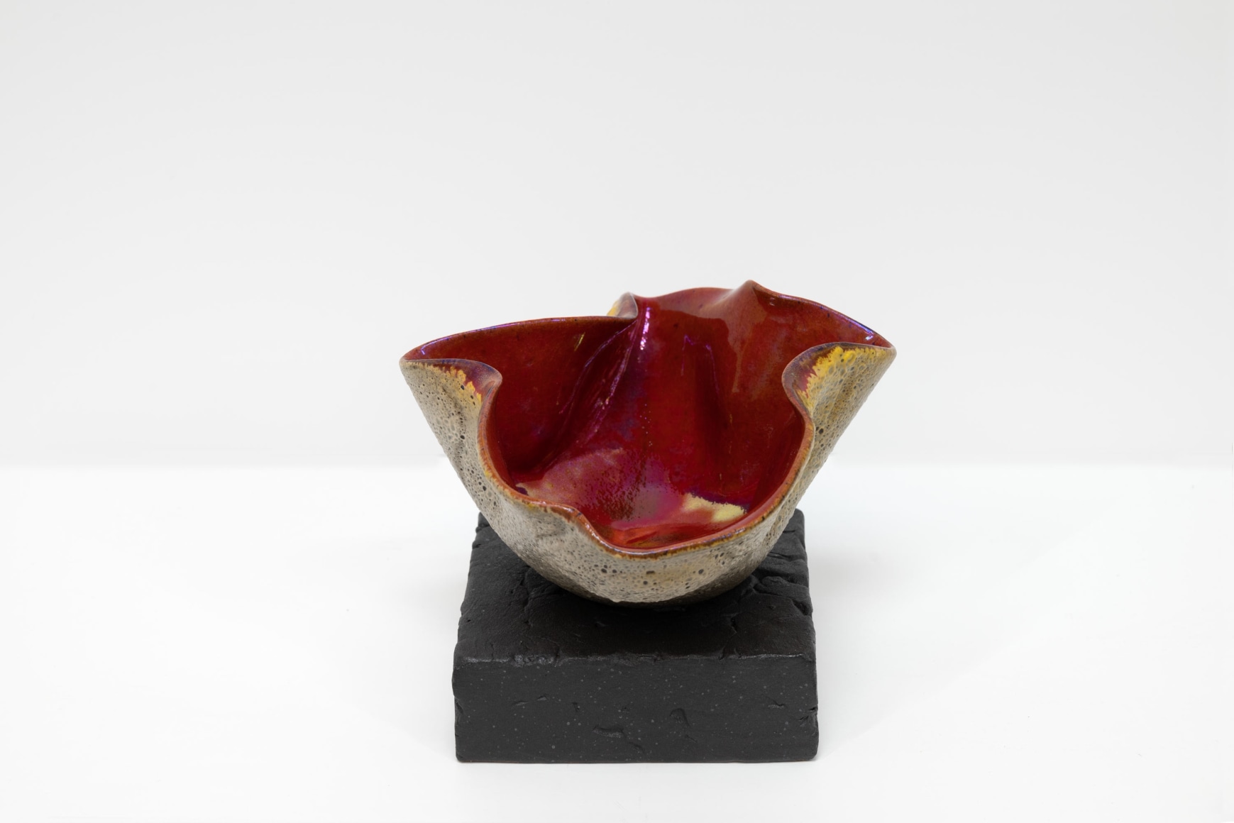 JAMES HAGGERTY, Flor Rubra #10, 2025