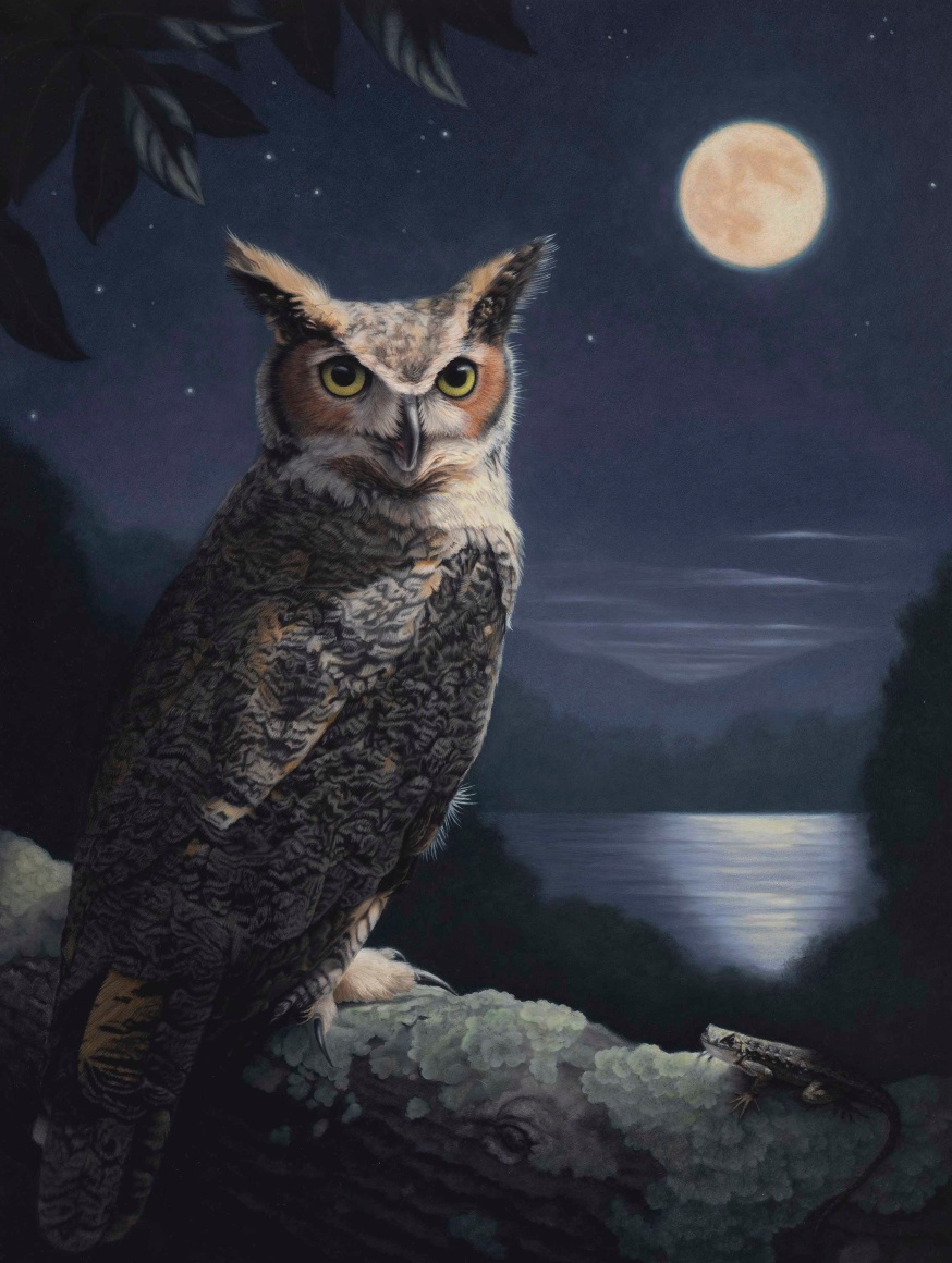 SUSAN MCDONNELL , Night Owls, 2021