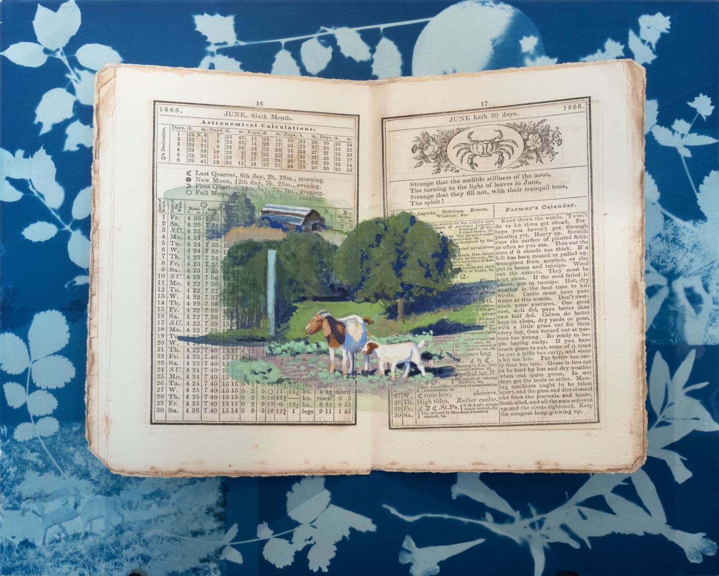 HOLLI HARMON , June Hath 30 Days, 2023