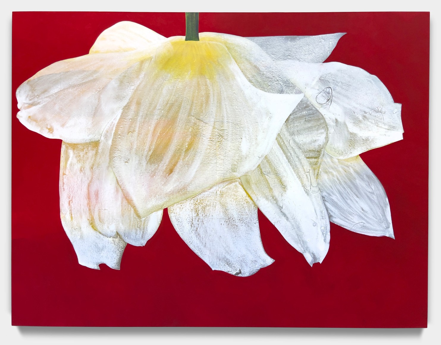 MARIA RENDÓN , Drying in Front of the Red Curtain, 2020-2024