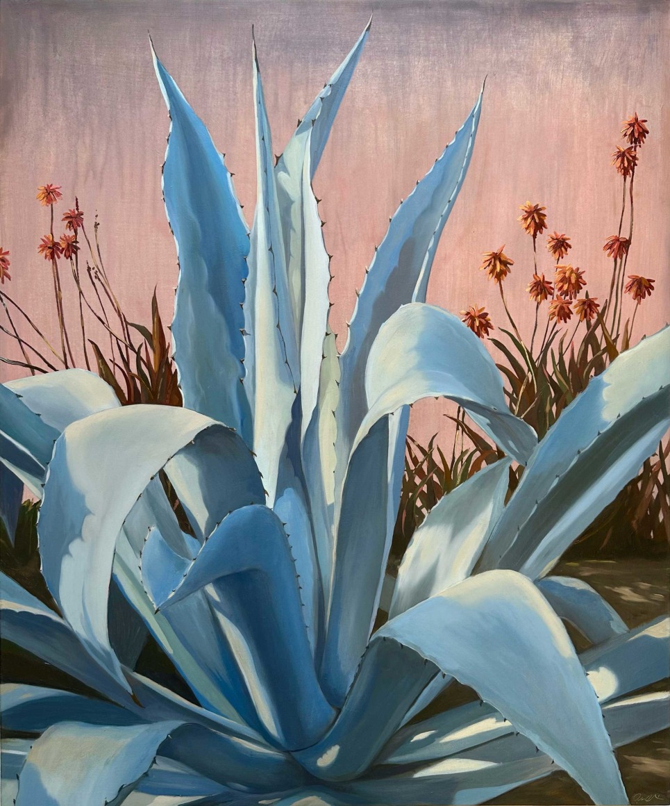 AMBER O'NEILL , Agave, 2023