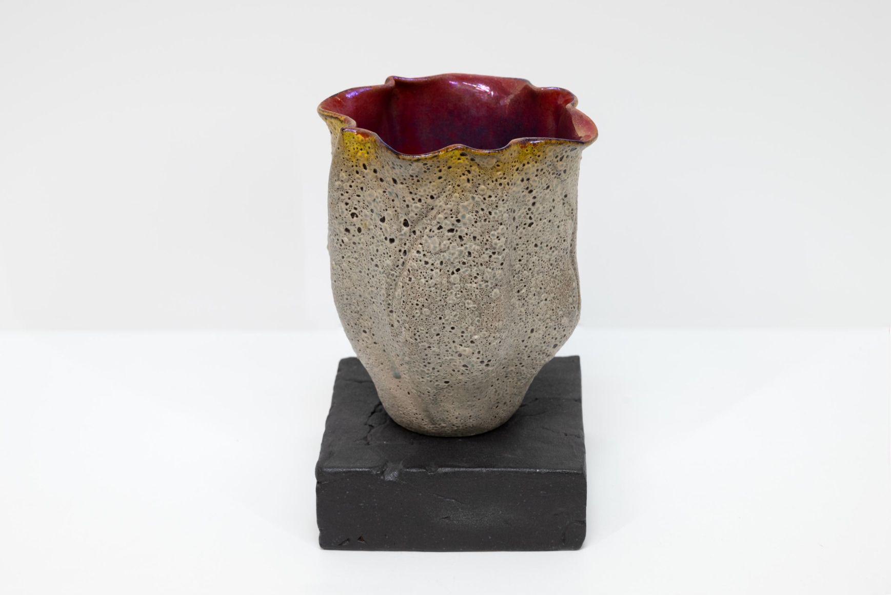 JAMES HAGGERTY, Flor Ruba #7, 2025