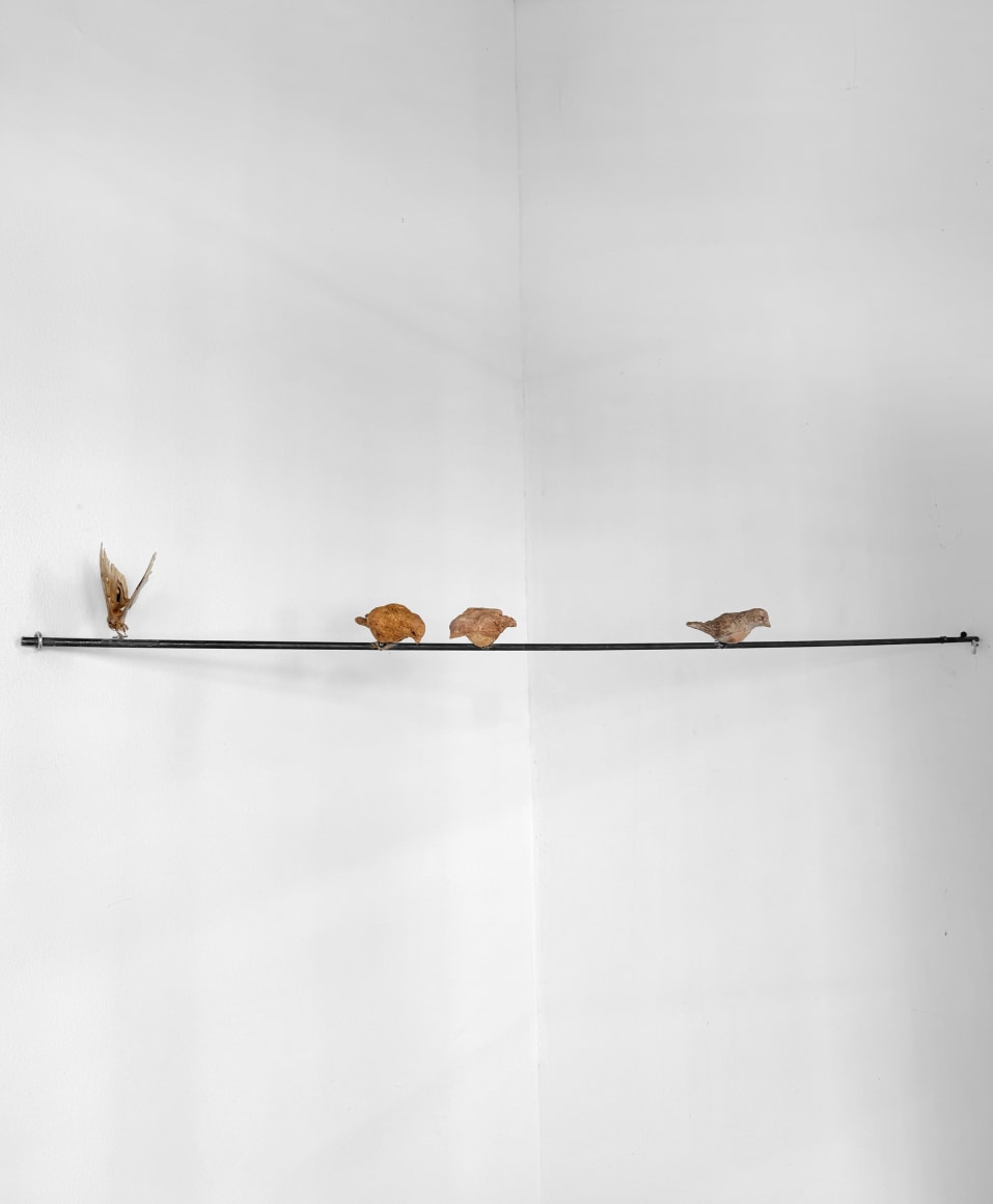 NATHAN HUFF , Birds on a Wire II, 2025