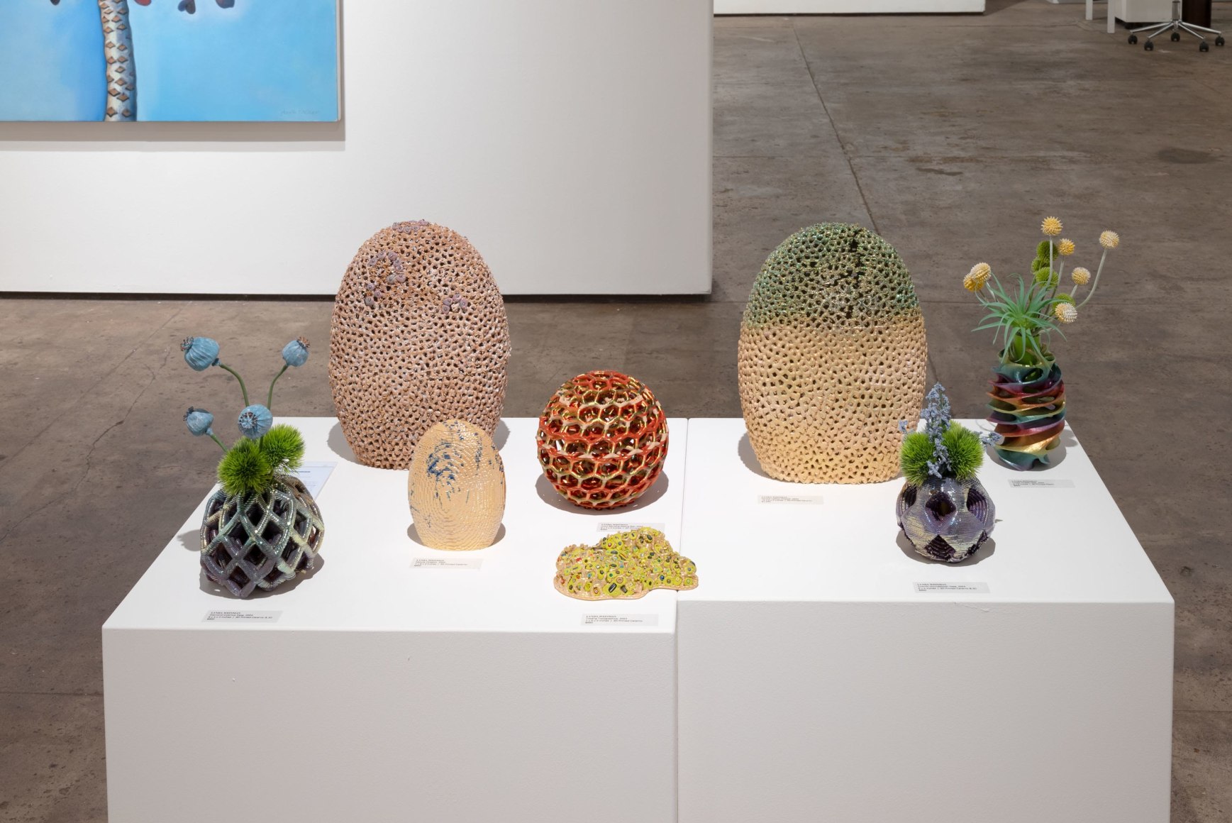 Wonderland 2024 Installation shot