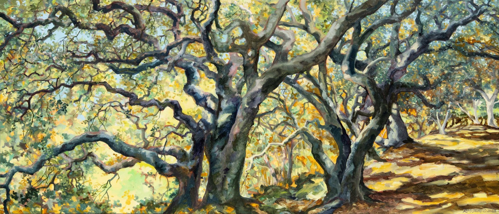 ROBIN GOWEN , Parade of Oaks, 2023