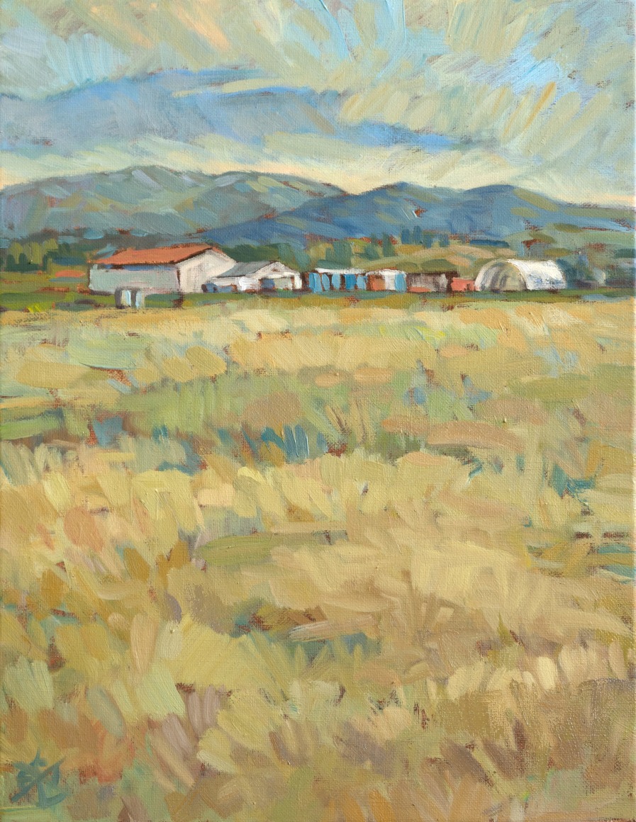 WHITNEY BROOKS ABBOTT , Cover Crop, Study, 2023