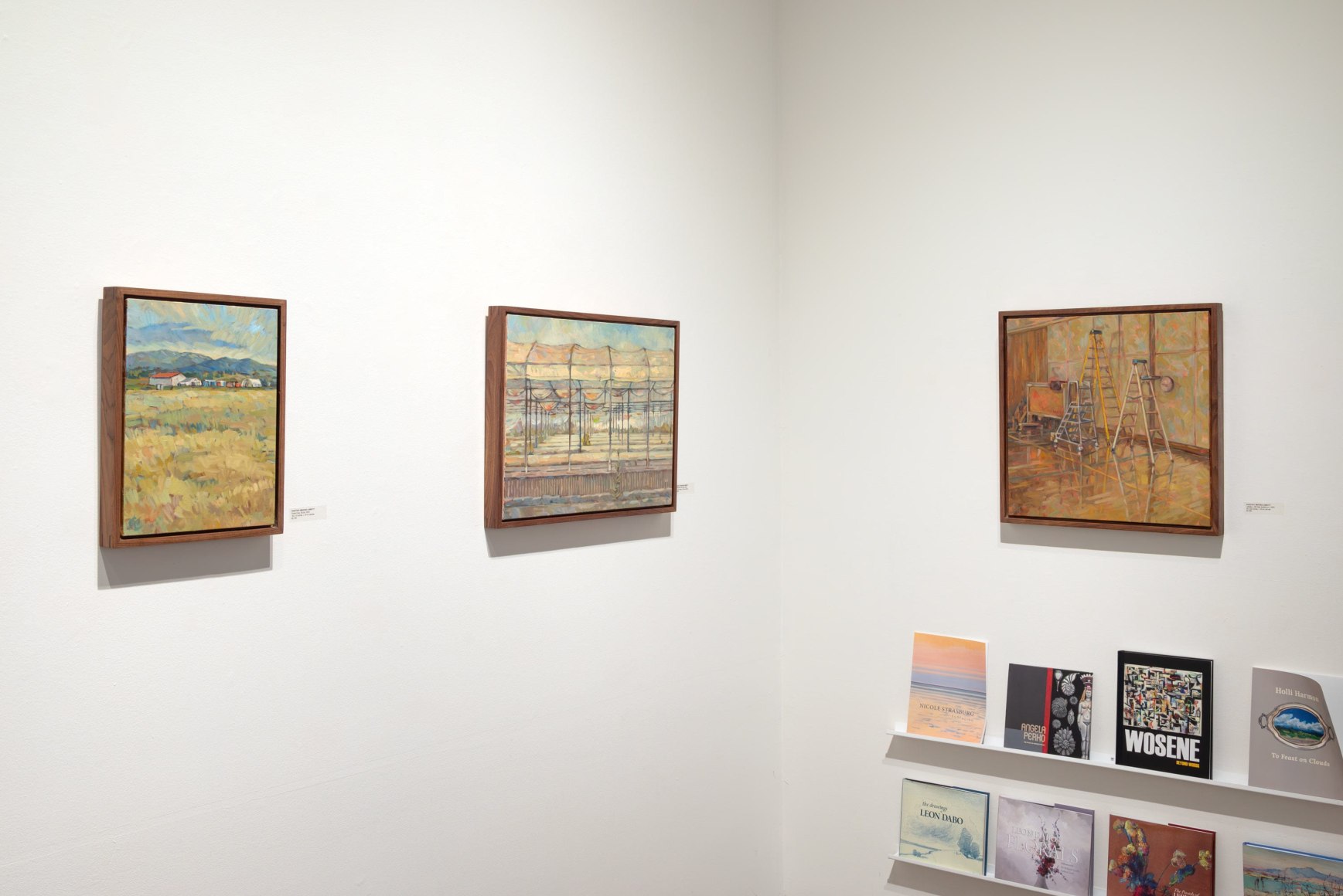 Whitney Brooks Abbott Field Notes Installation shot