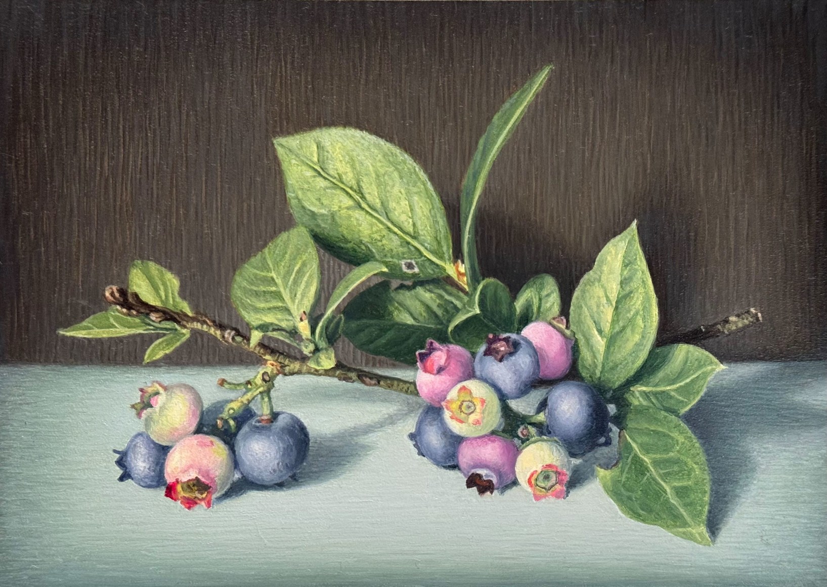 SUSAN MCDONNELL , Blueberries, 2024