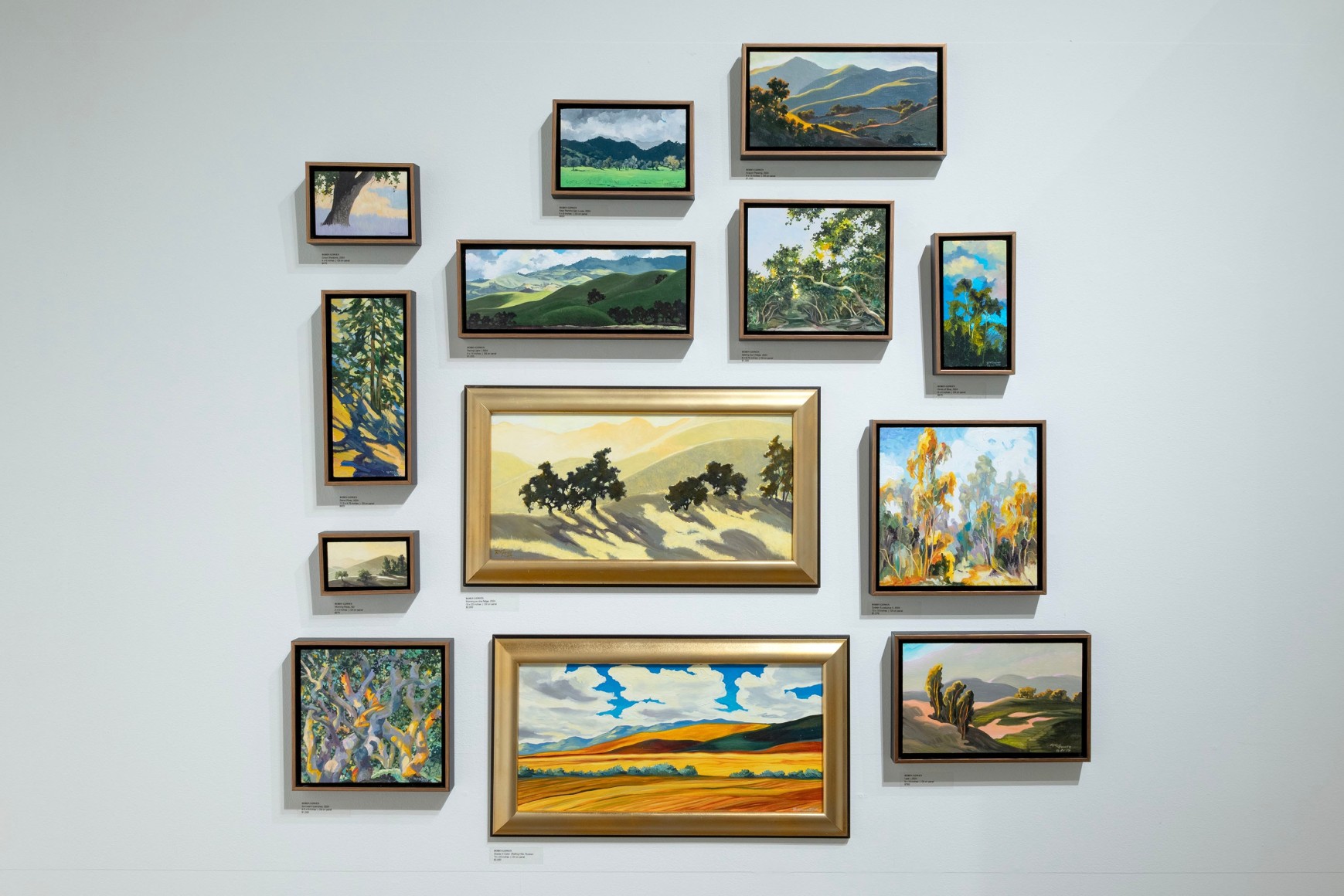 Robin Gowen: Shadow &amp; Light book release install shot