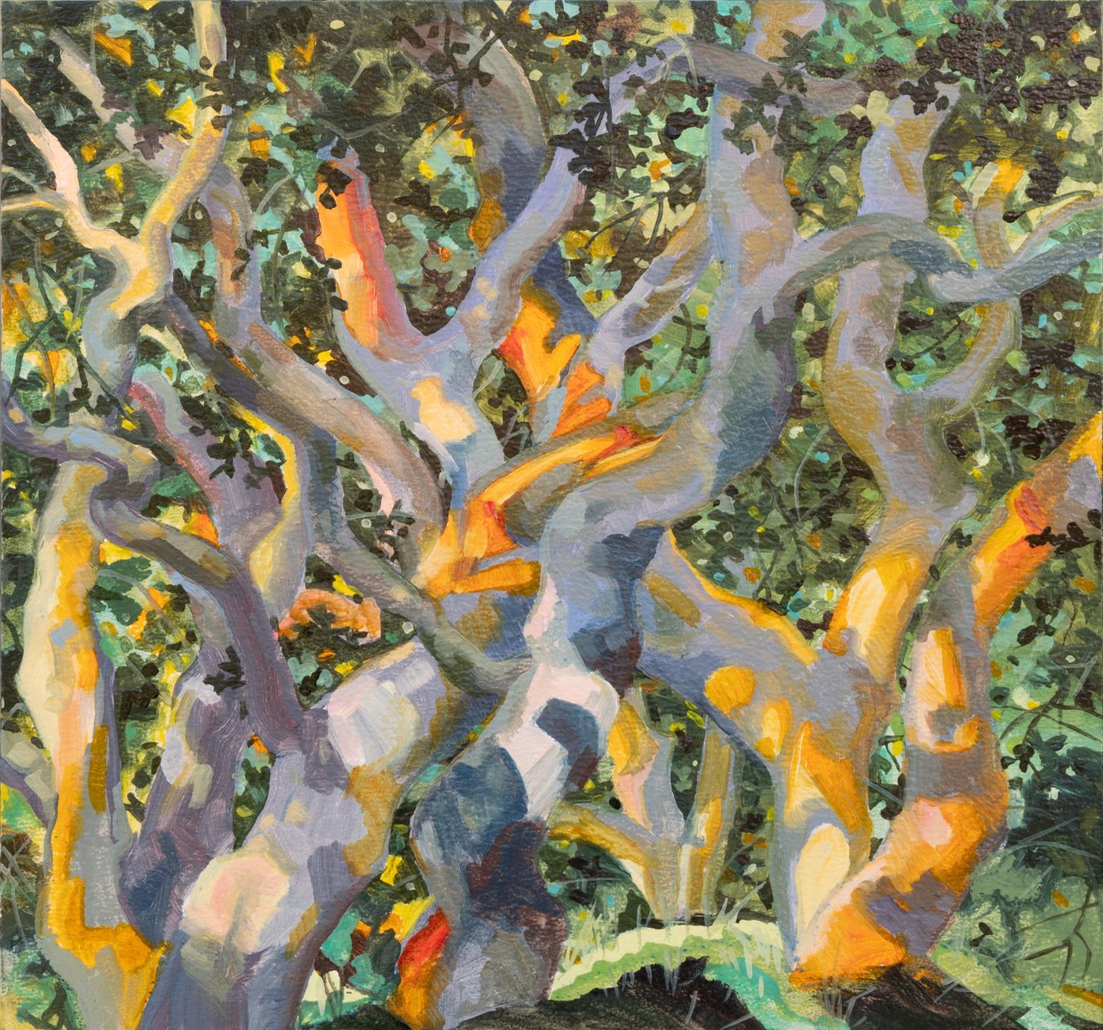 ROBIN GOWEN , Sun-warm branches, 2024
