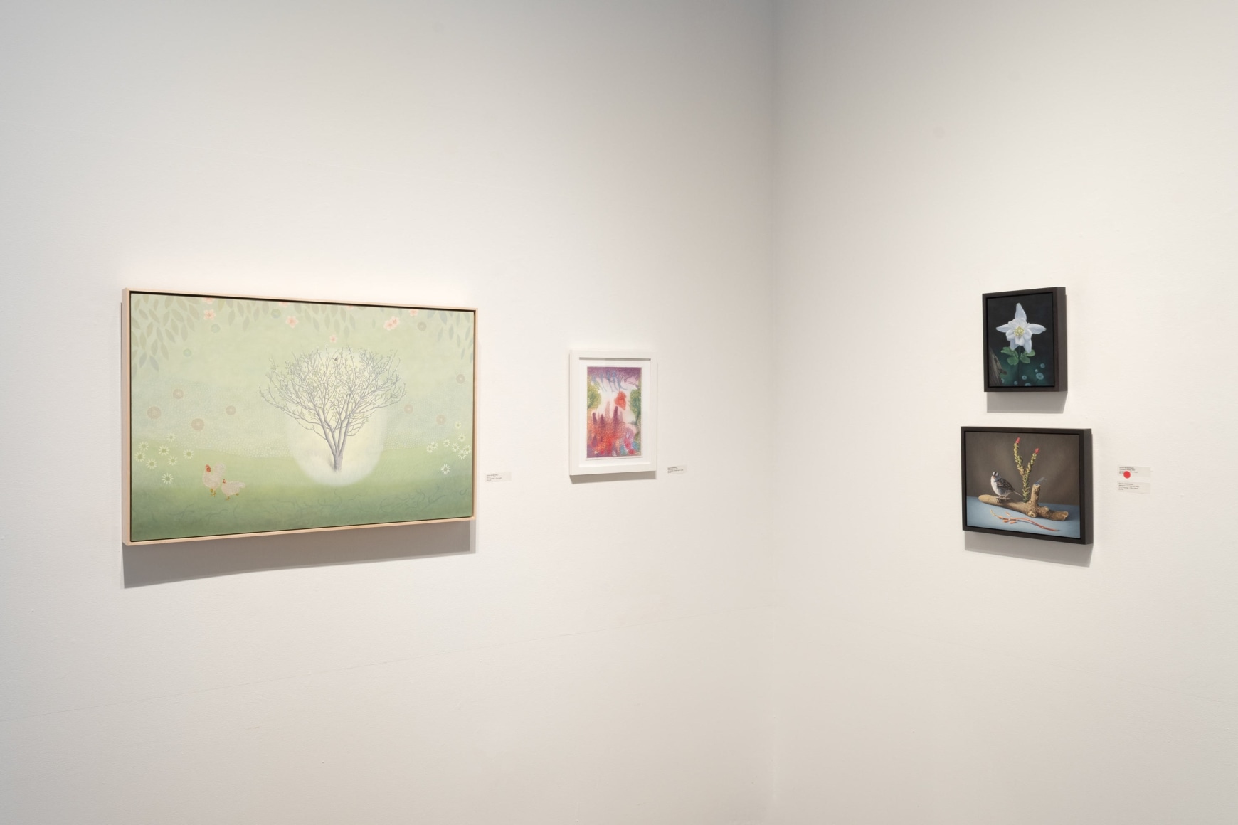 Installation photo for SUSAN McDONNELL: Radiant Realm