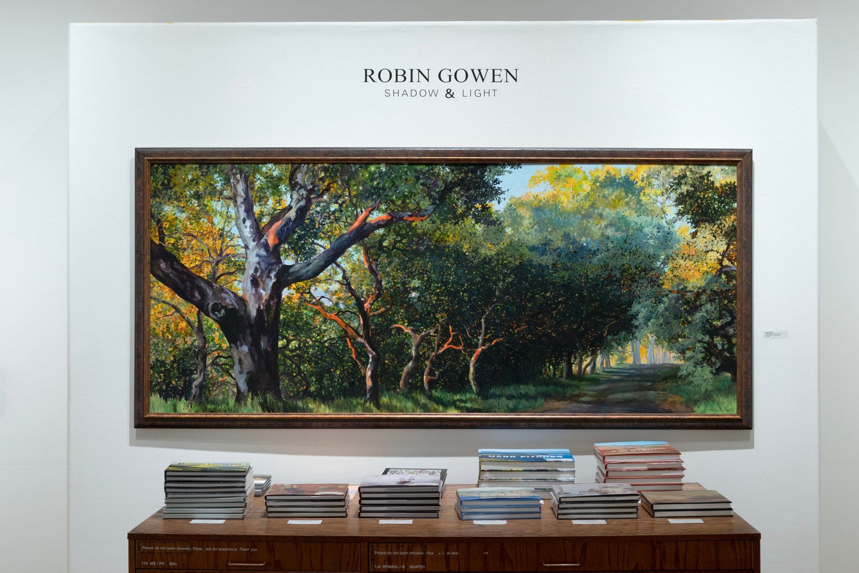 Robin Gowen: Shadow &amp; Light book release install shot
